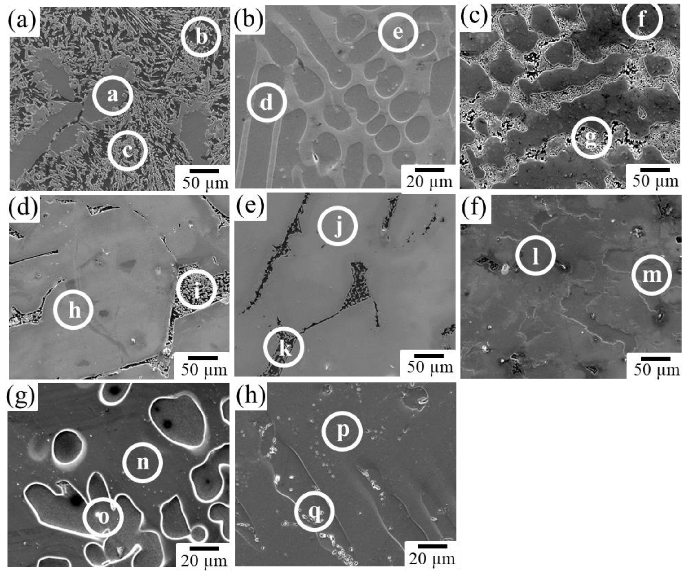 Metals 13 01095 g005