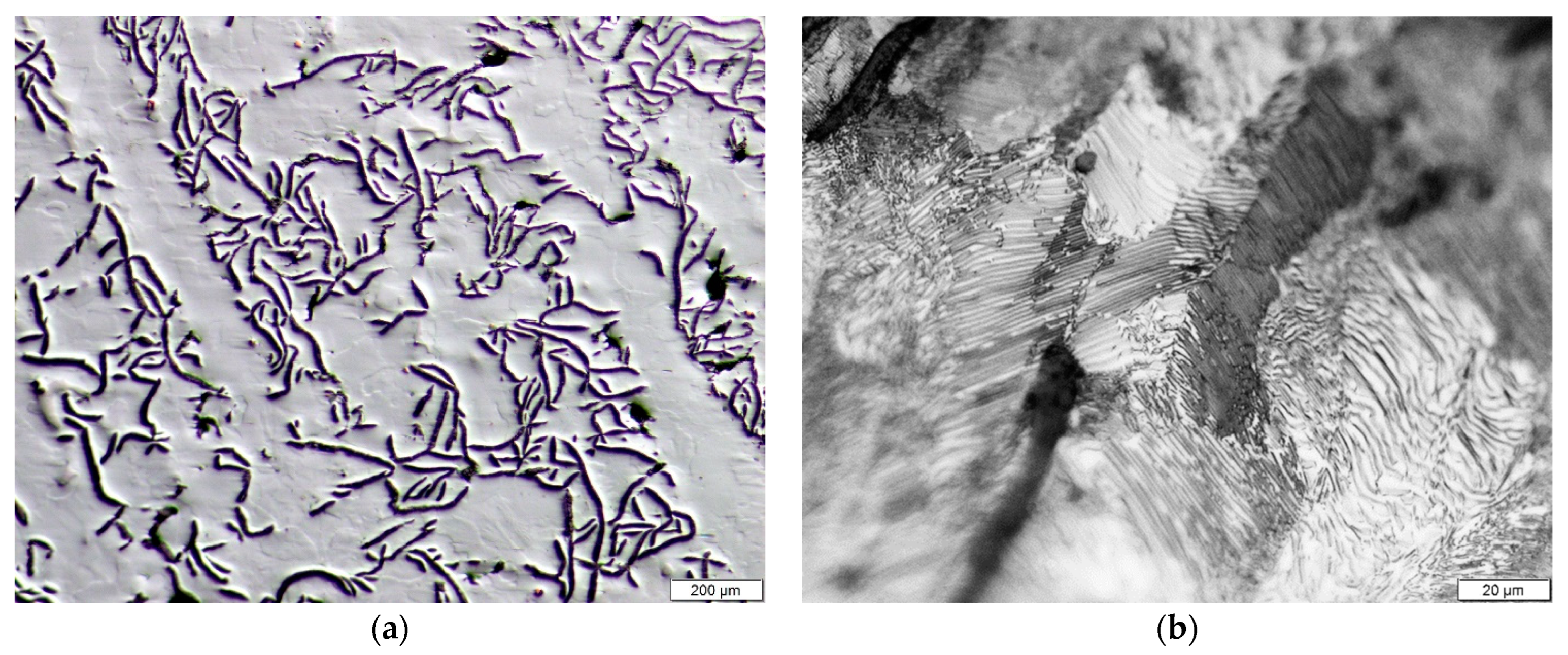 Metals 13 01098 g001