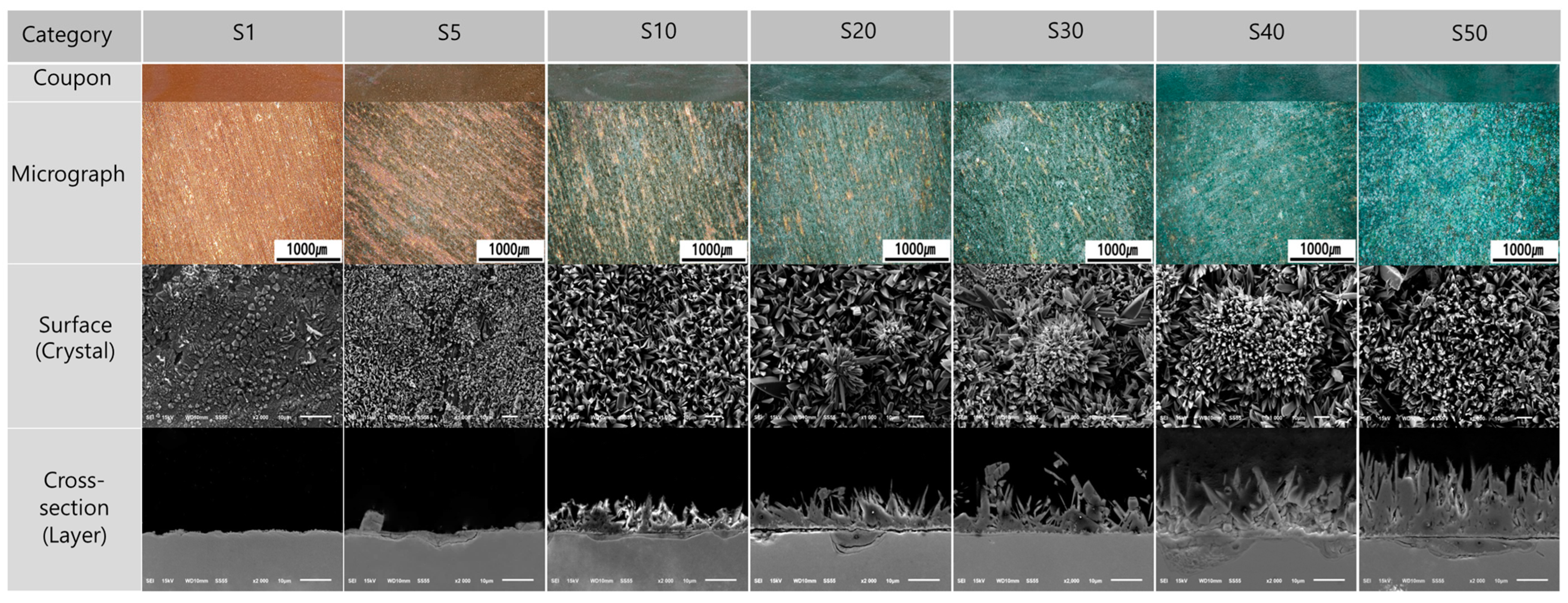 Metals 13 01101 g008
