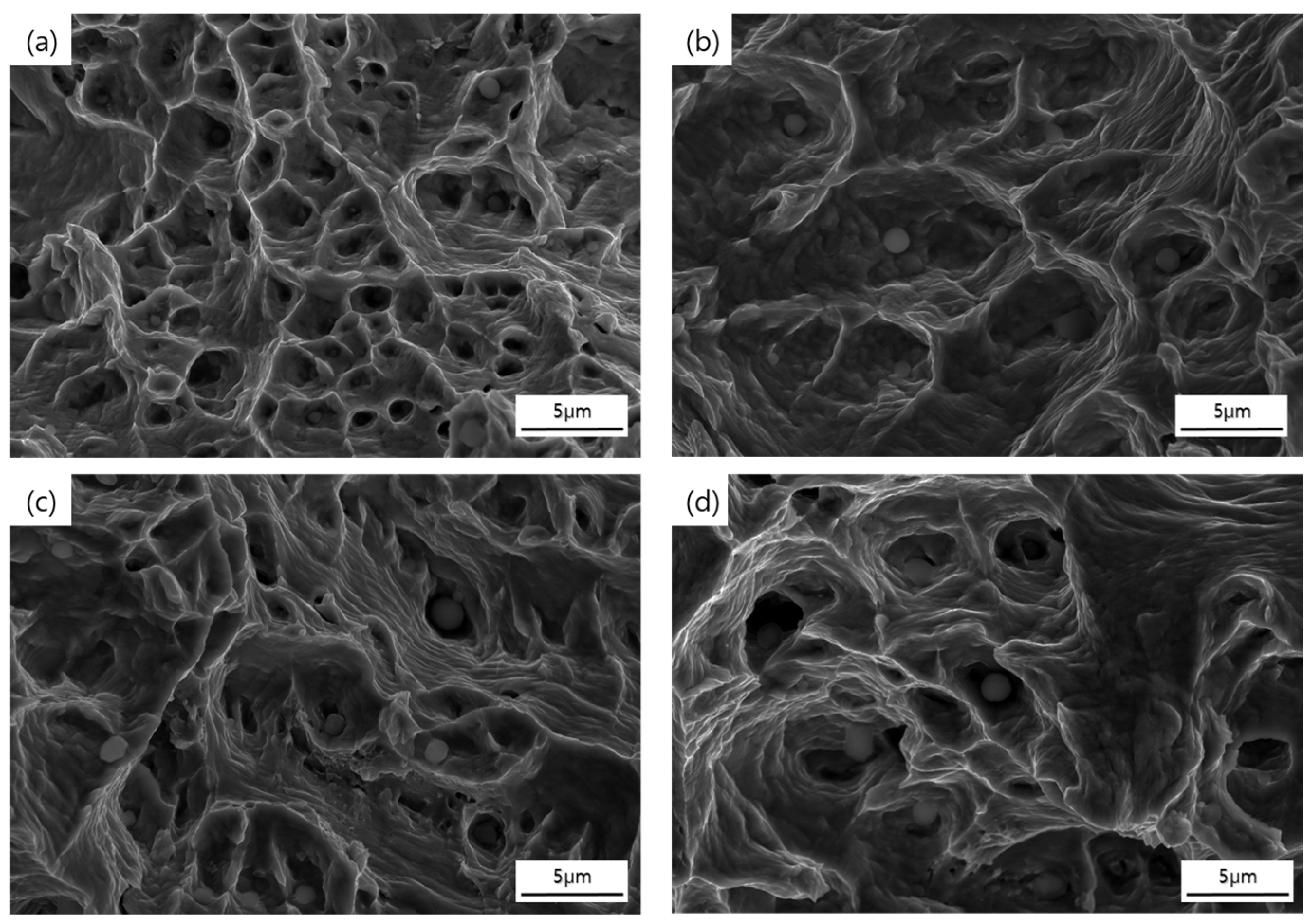 Metals 13 01126 g008