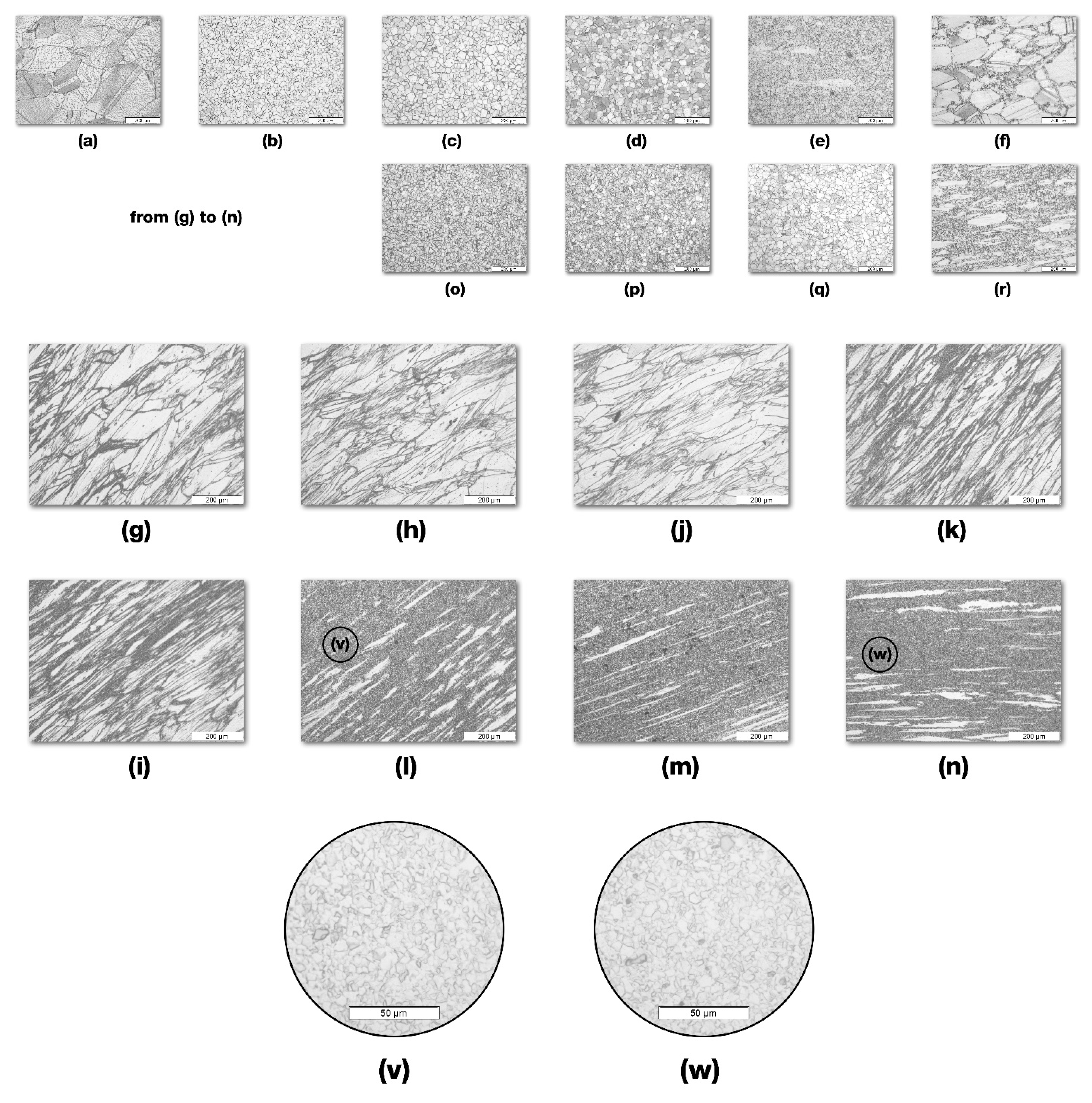 Metals 13 01129 g013