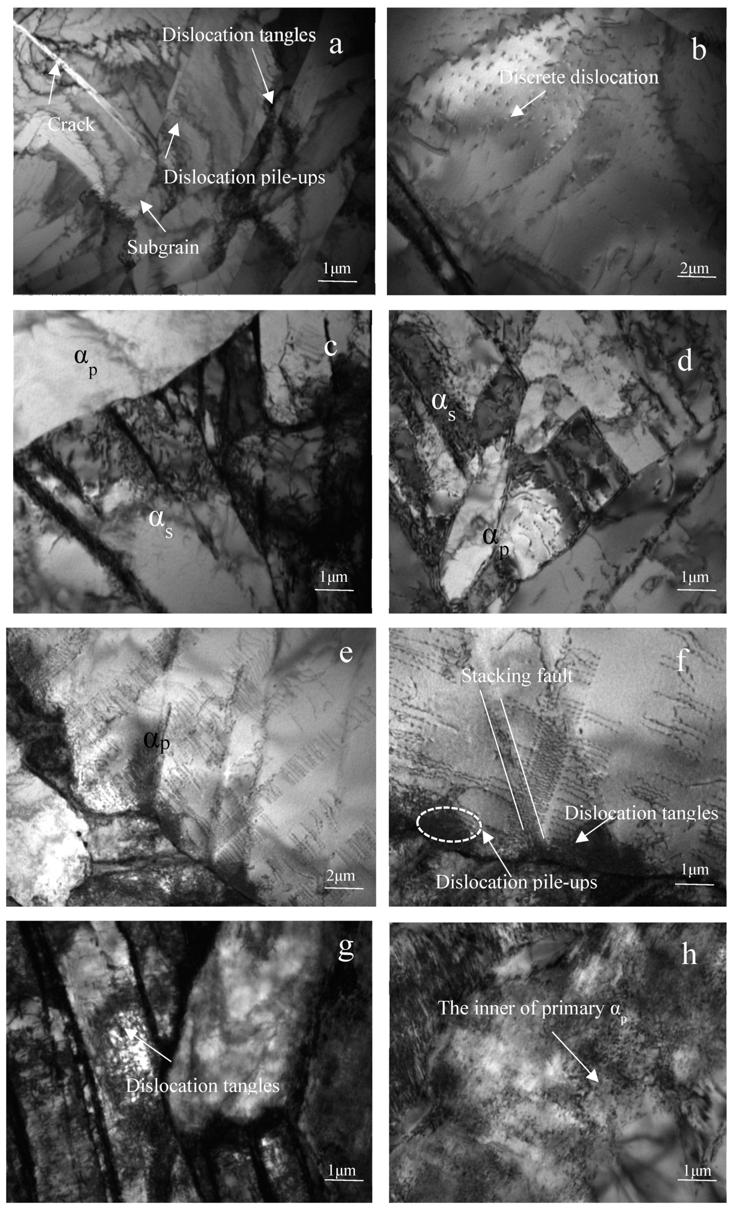 Metals 13 01149 g012 Metals 13 01149 g012