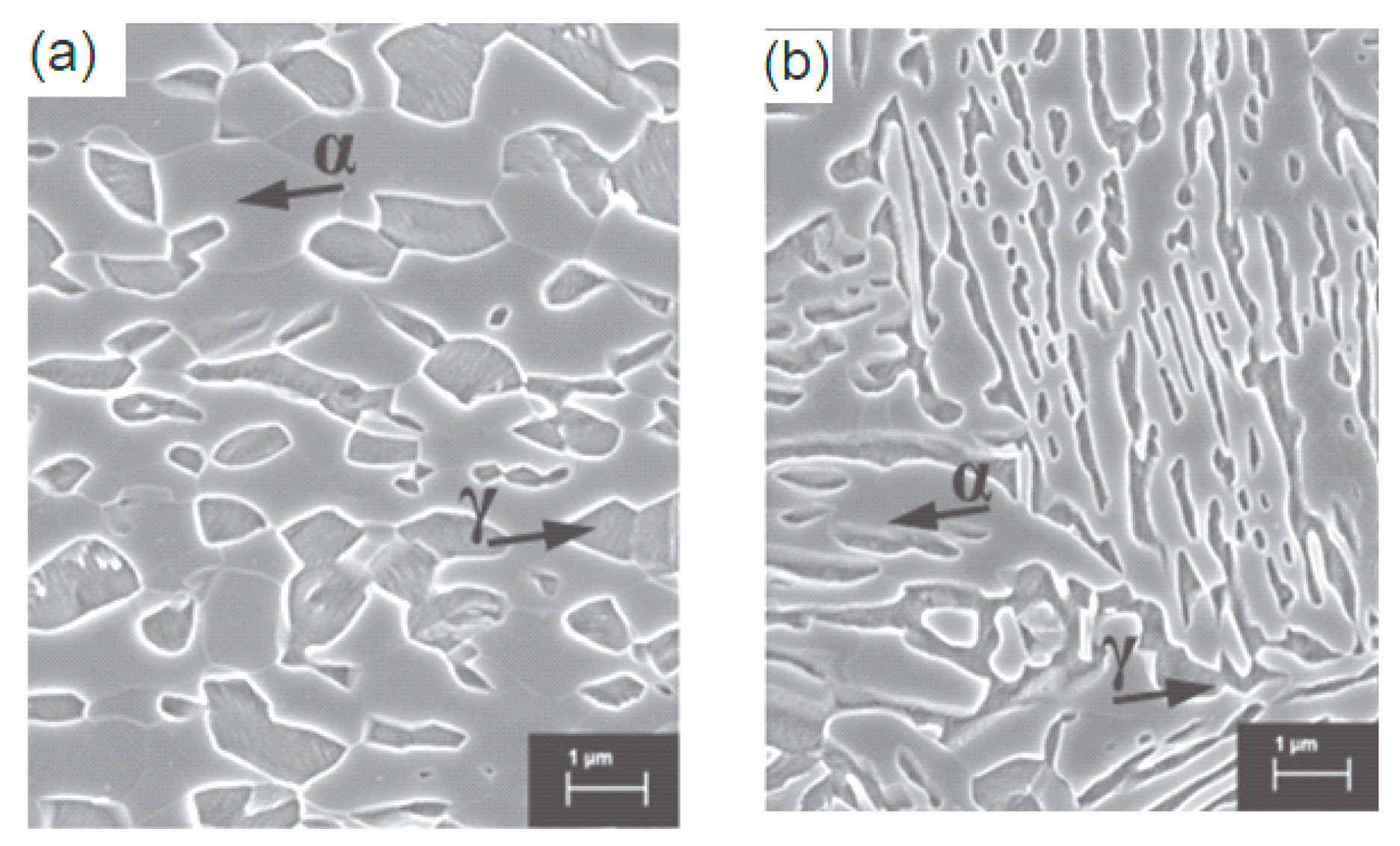 Metals 13 01152 g020