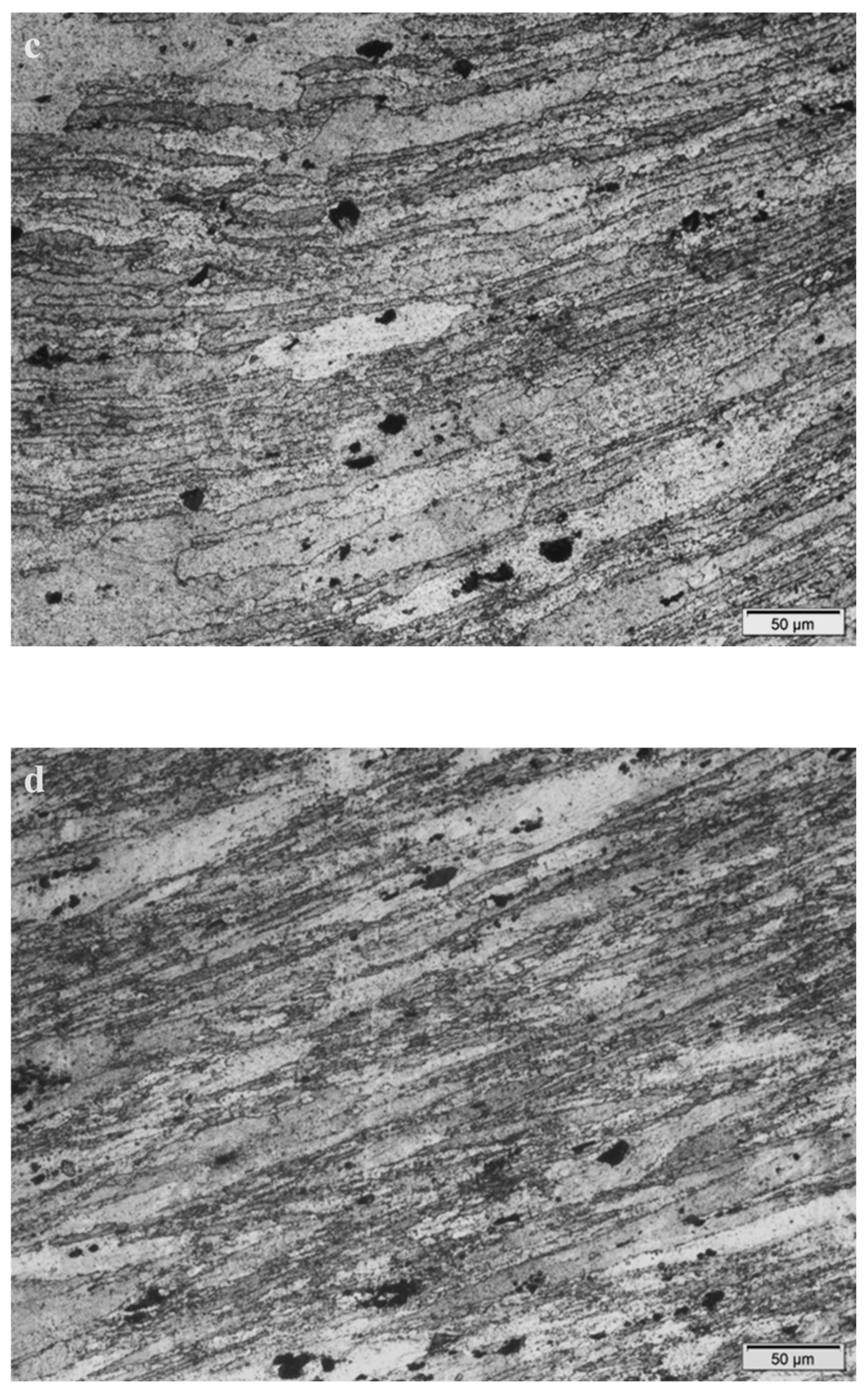 Metals 13 01158 g005b