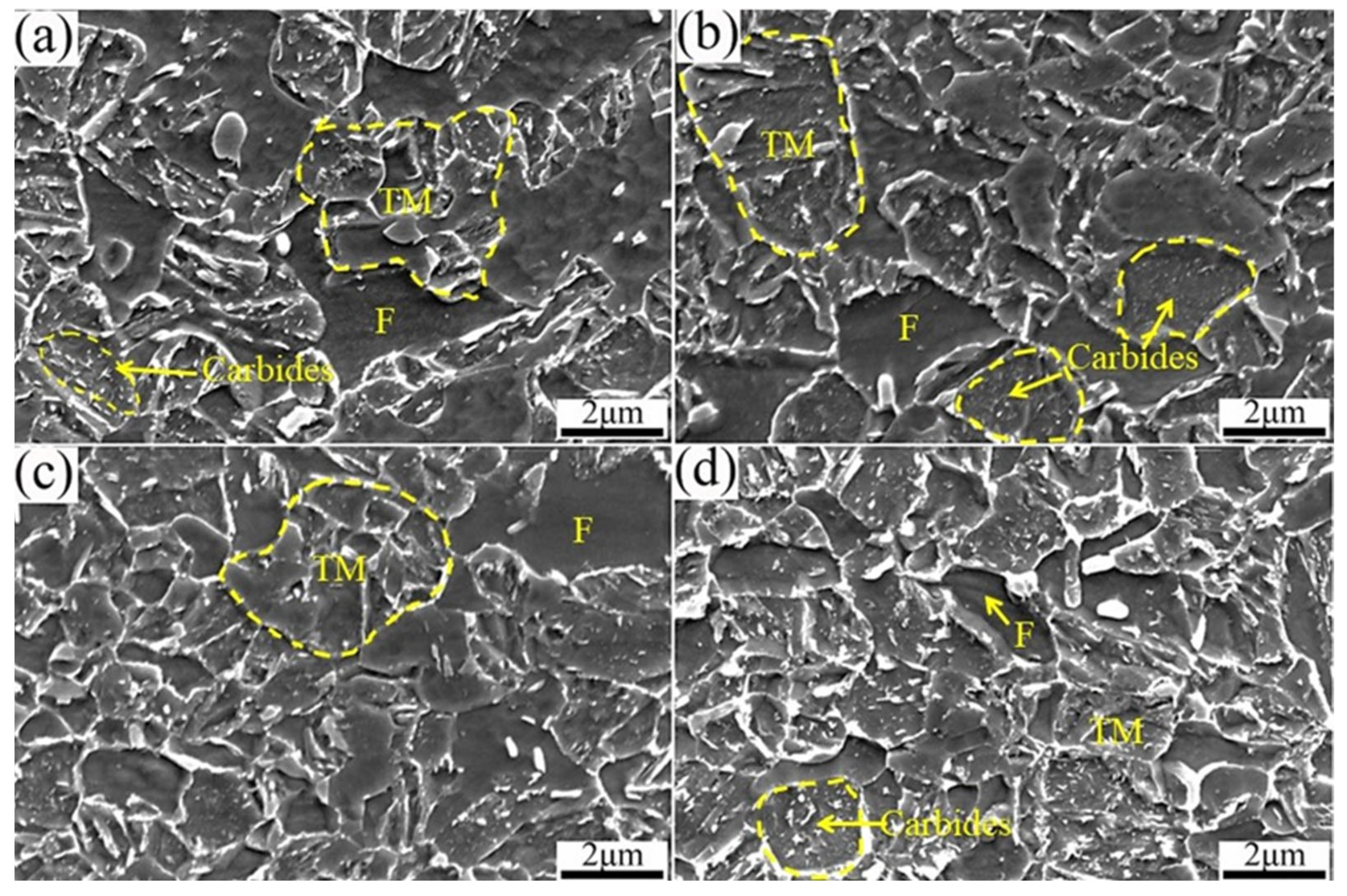 Metals 13 01164 g014