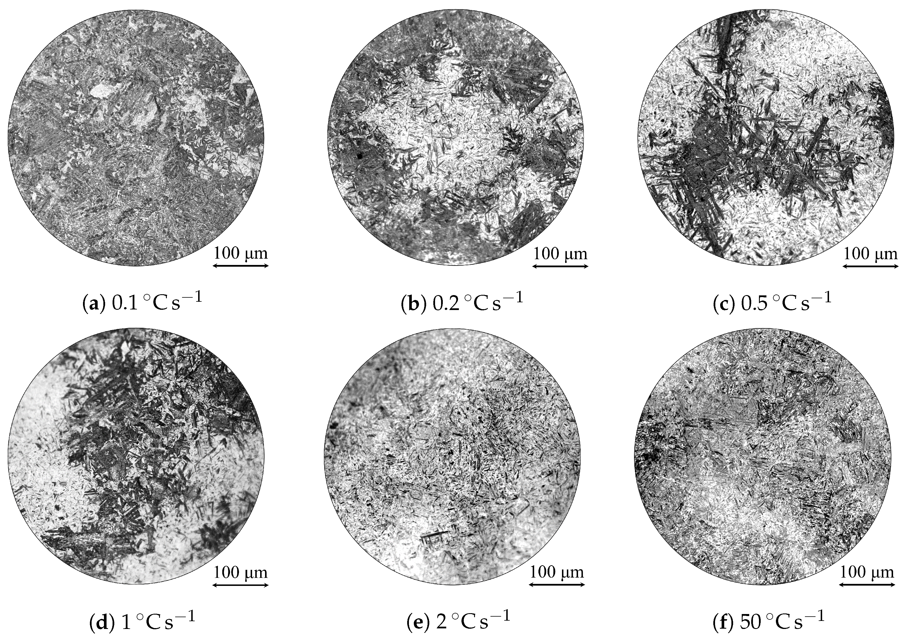 Metals 13 01168 g010