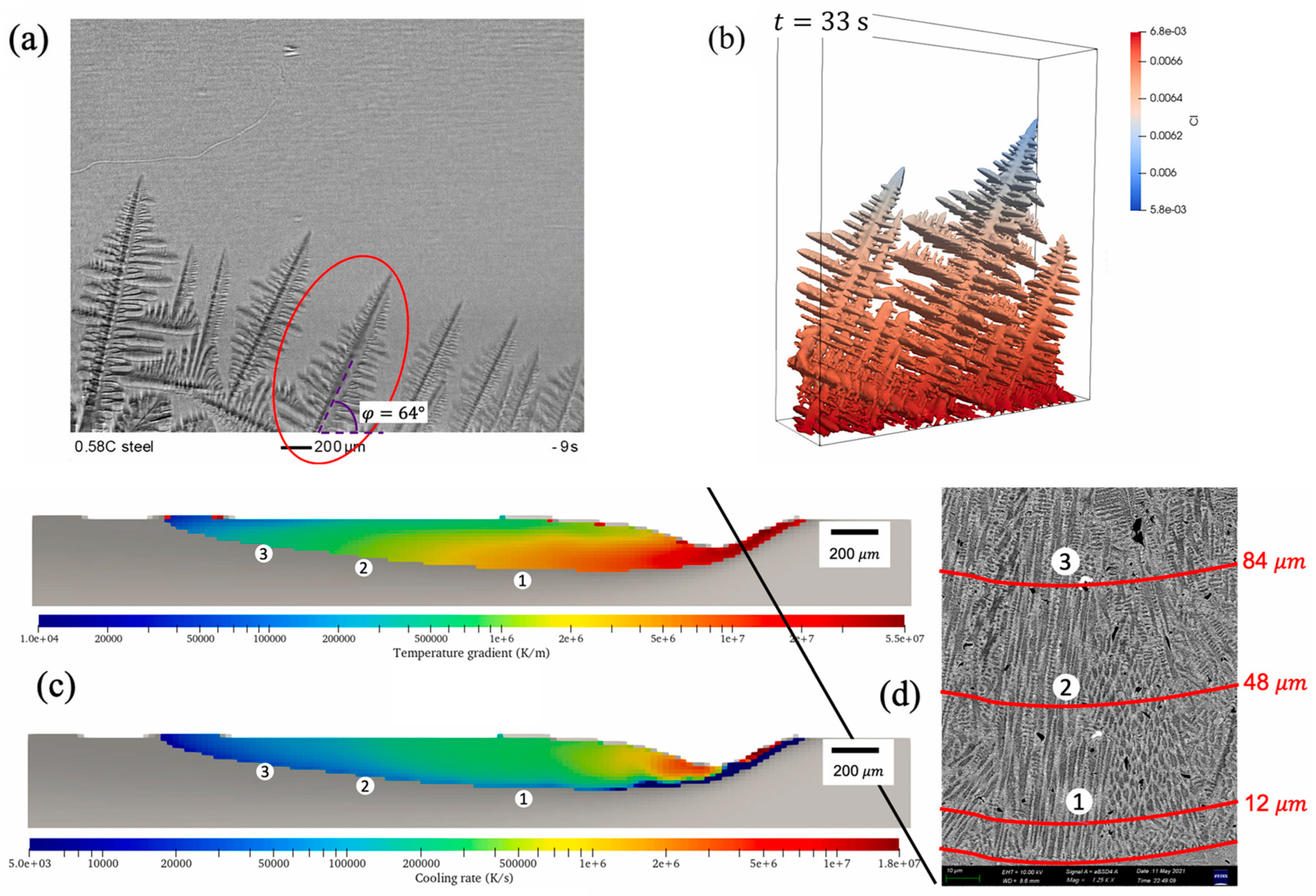Metals 13 01169 g021