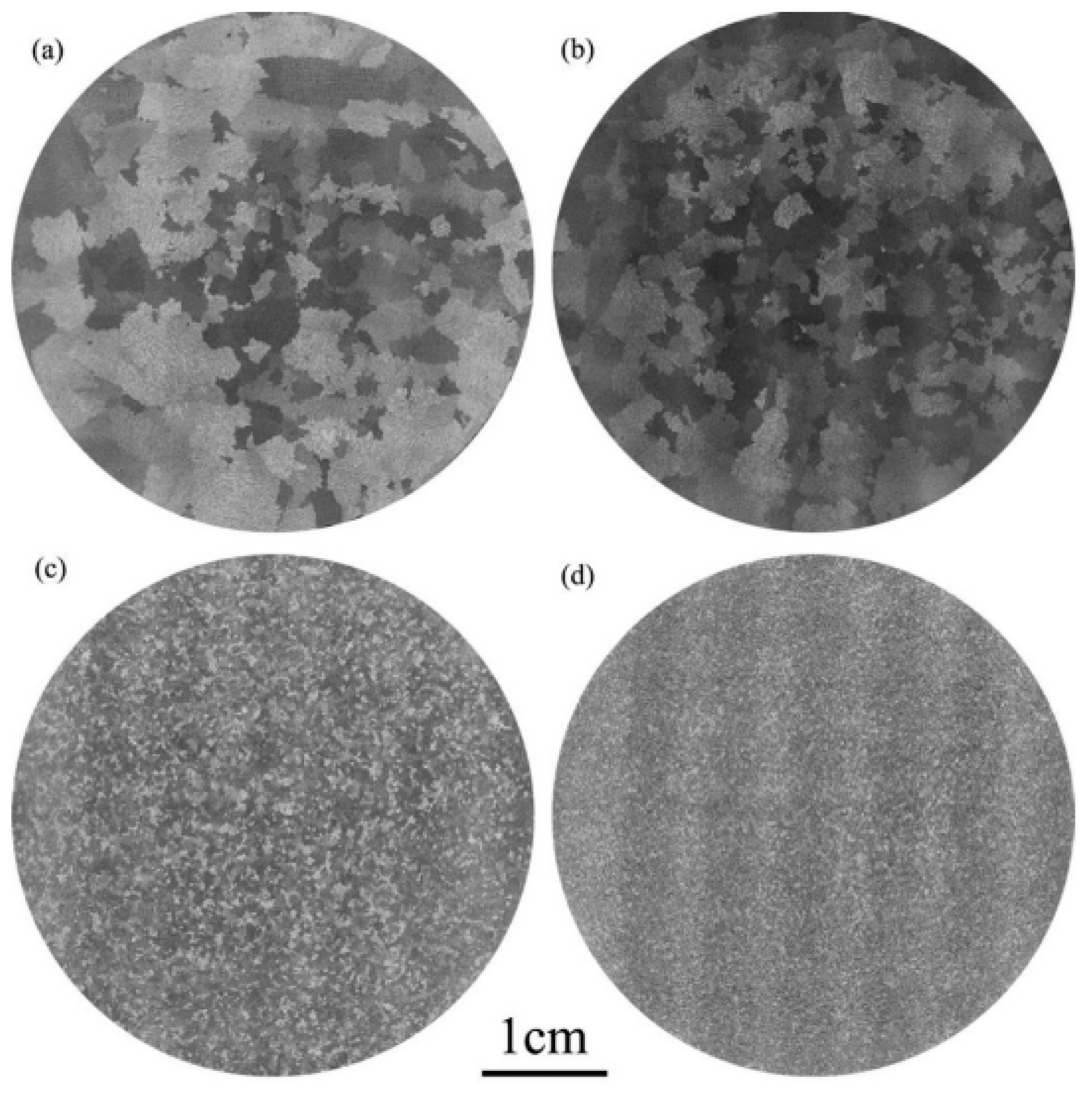 Metals 13 01174 g010