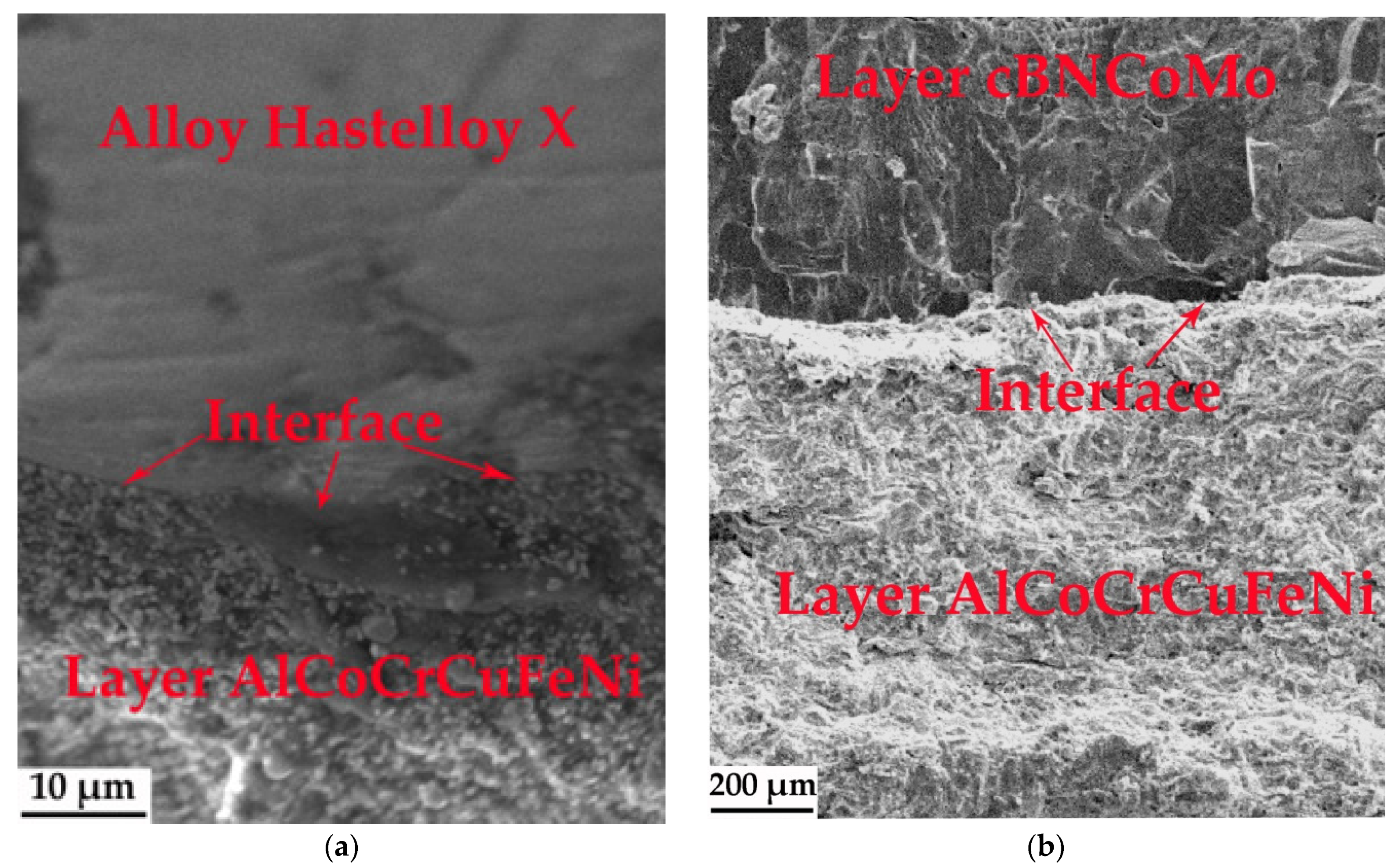 Metals 13 01177 g003a