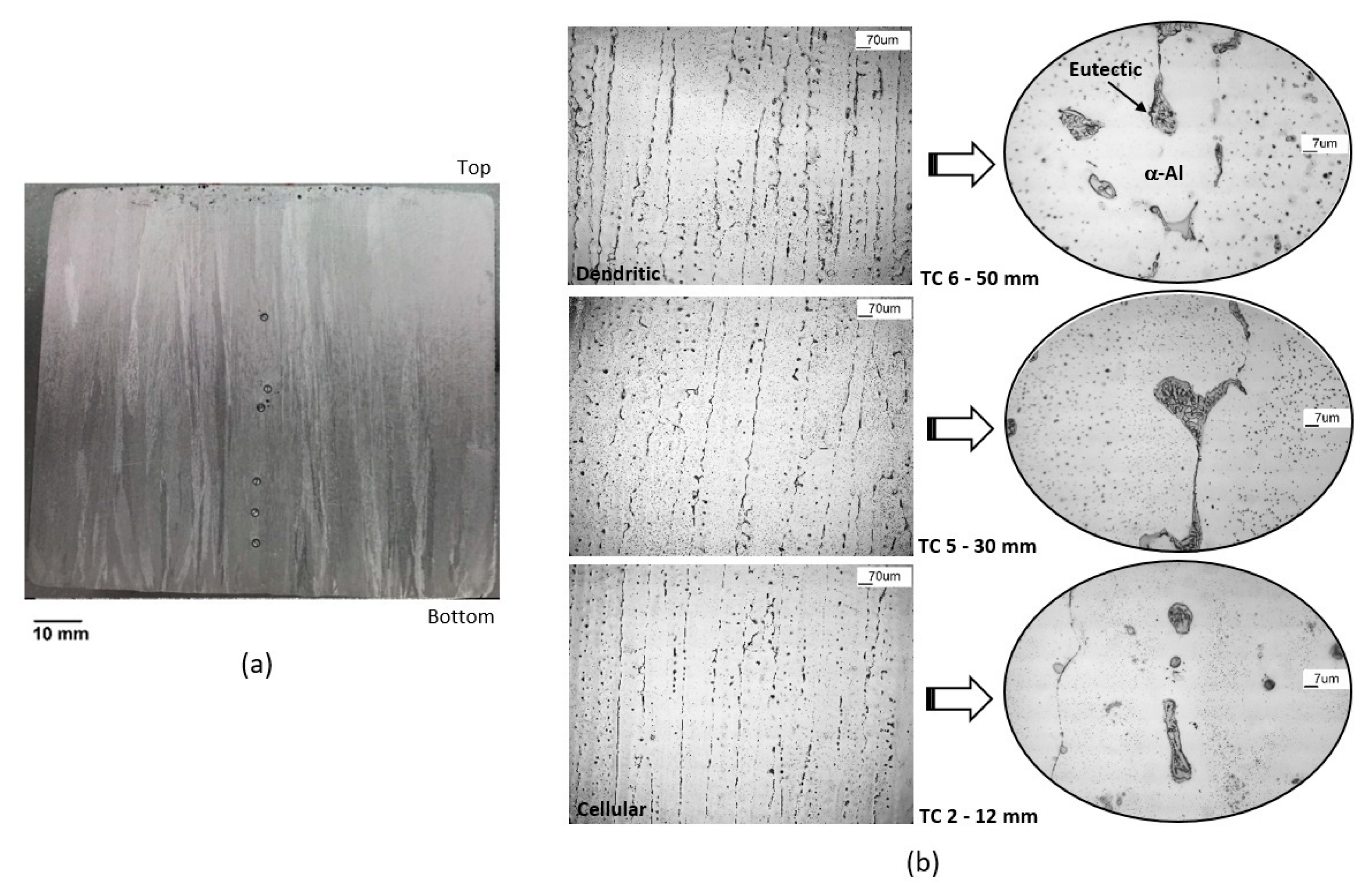 Metals 13 01178 g007 Metals 13 01178 g007