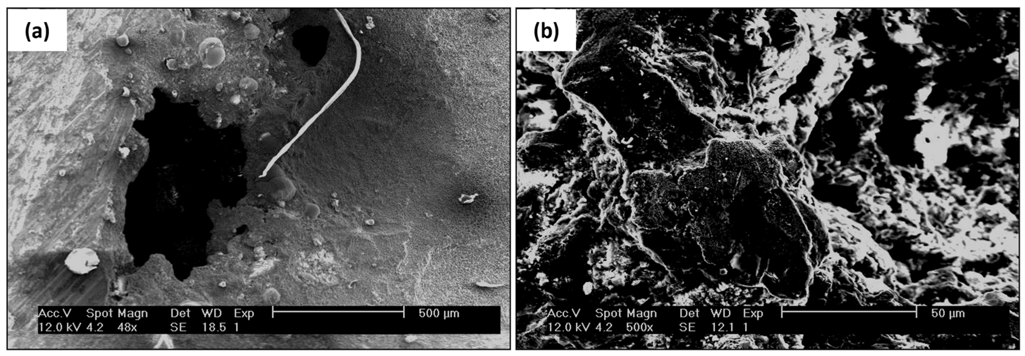 Metals 13 01182 g008 Metals 13 01182 g008