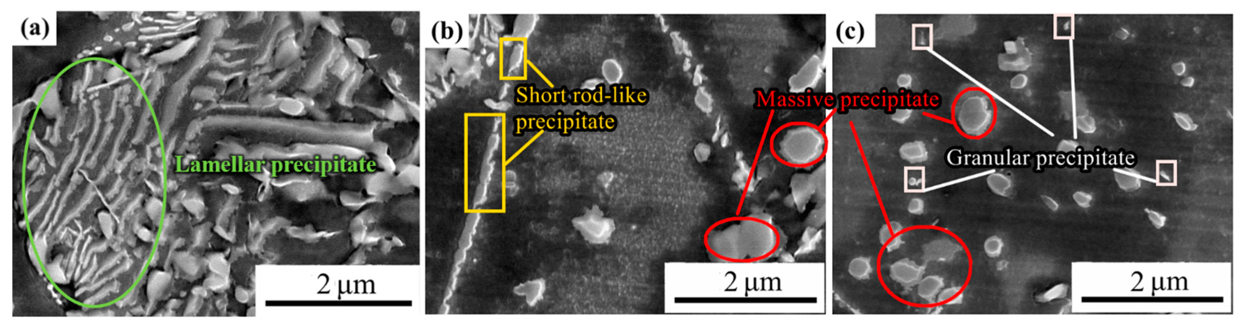 Metals 13 01183 g007