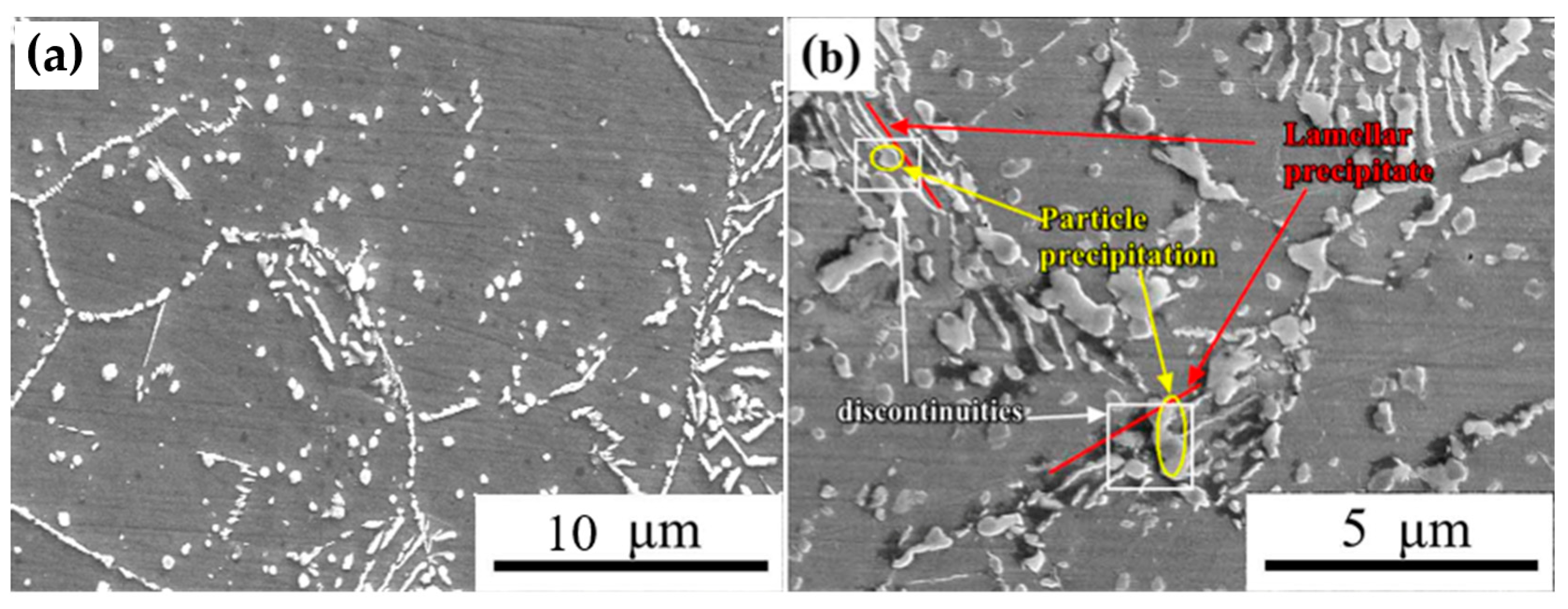 Metals 13 01183 g008