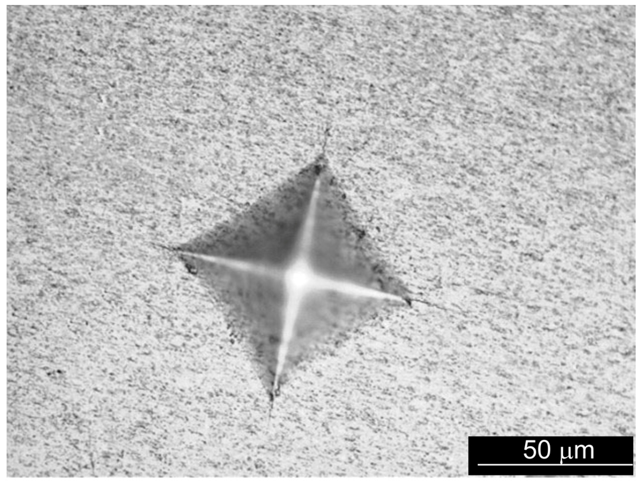 Metals 13 01189 g014