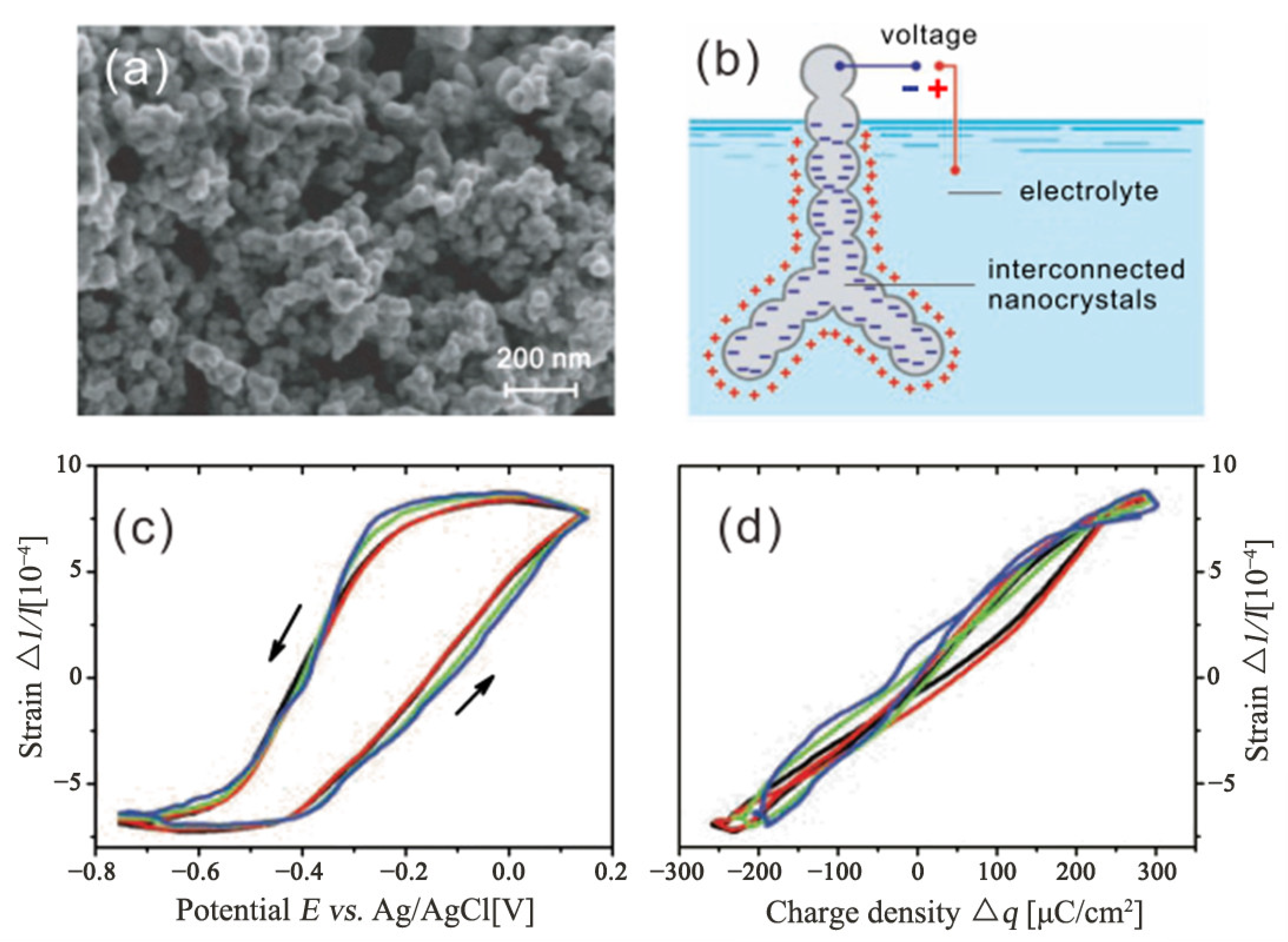 Metals 13 01198 g005