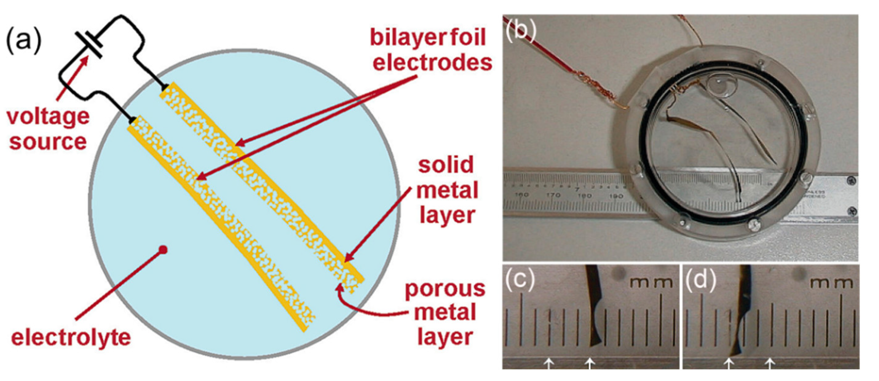 Metals 13 01198 g006