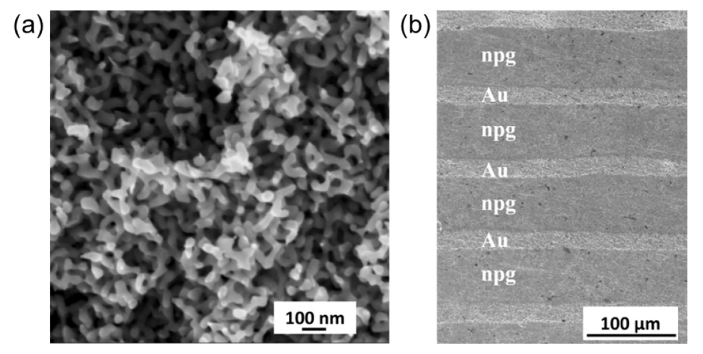 Metals 13 01198 g007