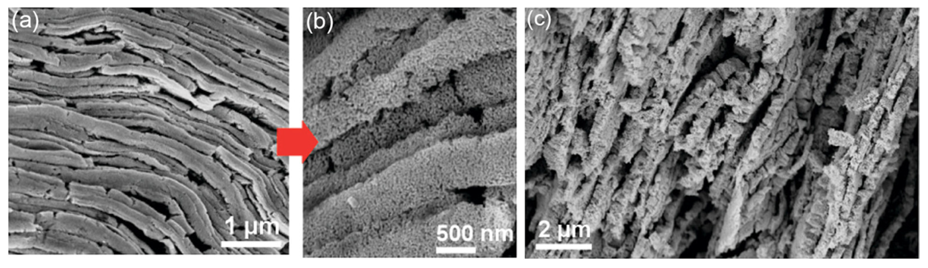 Metals 13 01198 g008