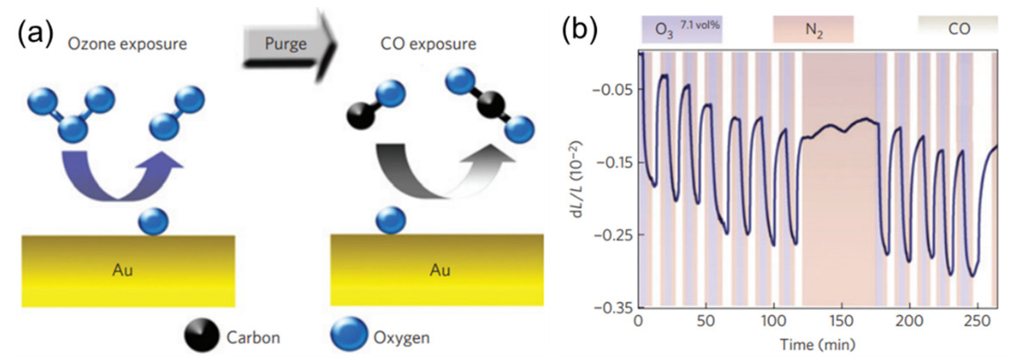 Metals 13 01198 g010