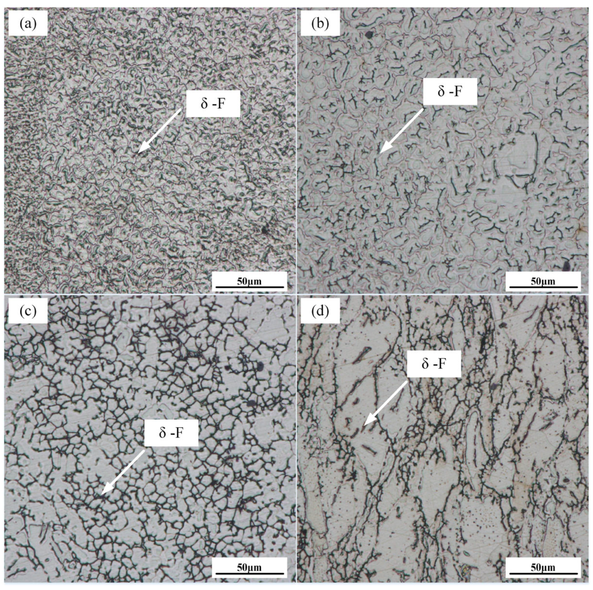 Metals 13 01200 g010