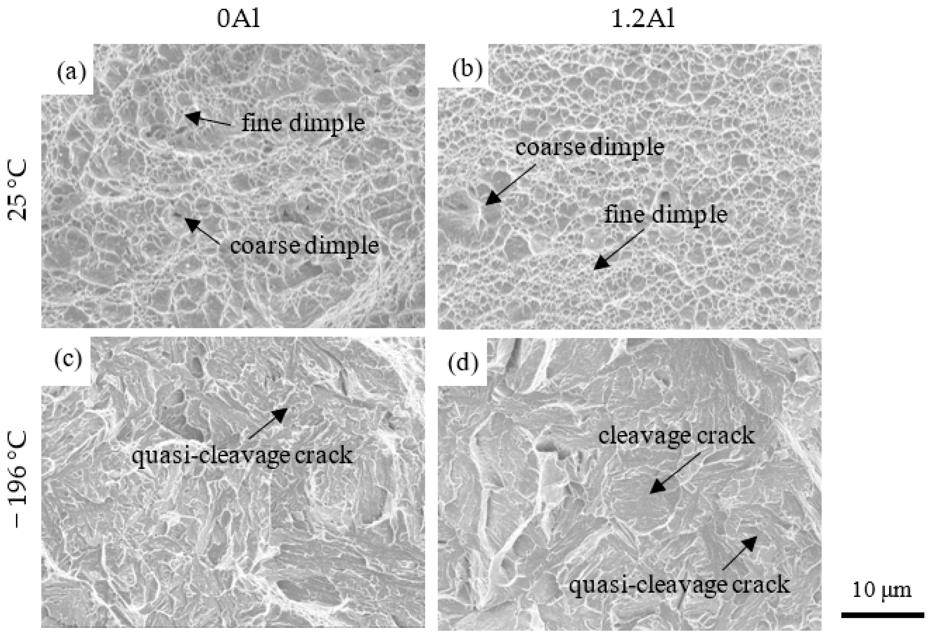 Metals 13 01206 g010
