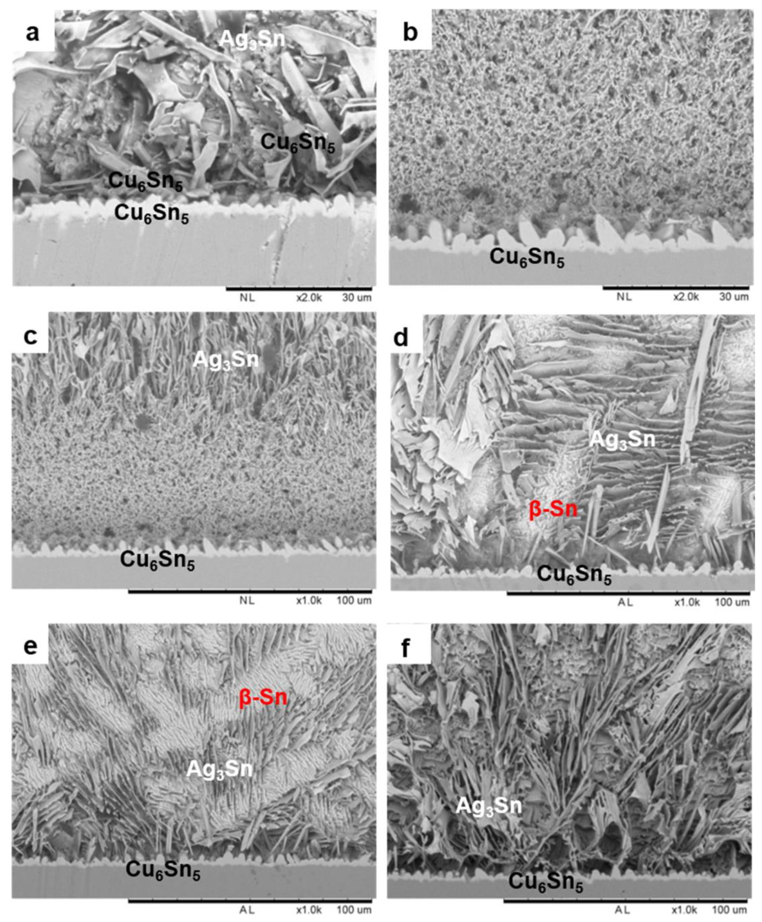 Metals 13 01209 g010