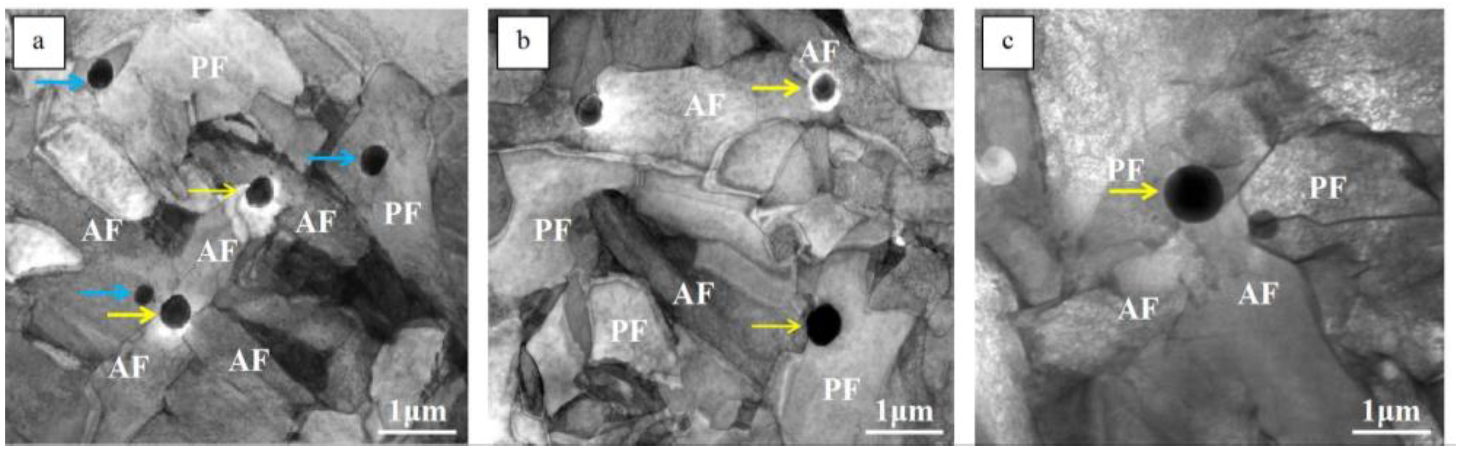 Metals 13 01217 g004