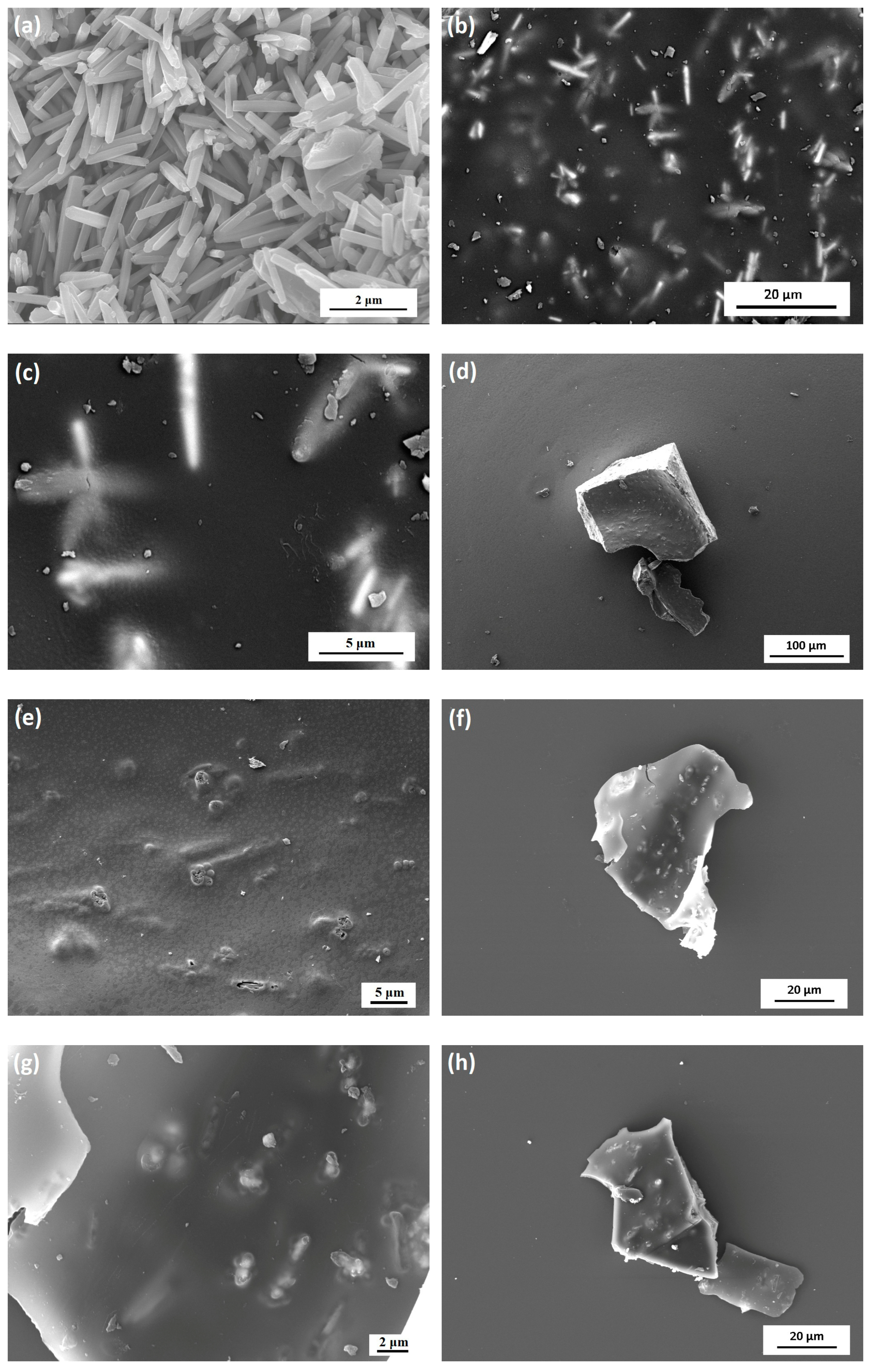 Metals 13 01220 g005a