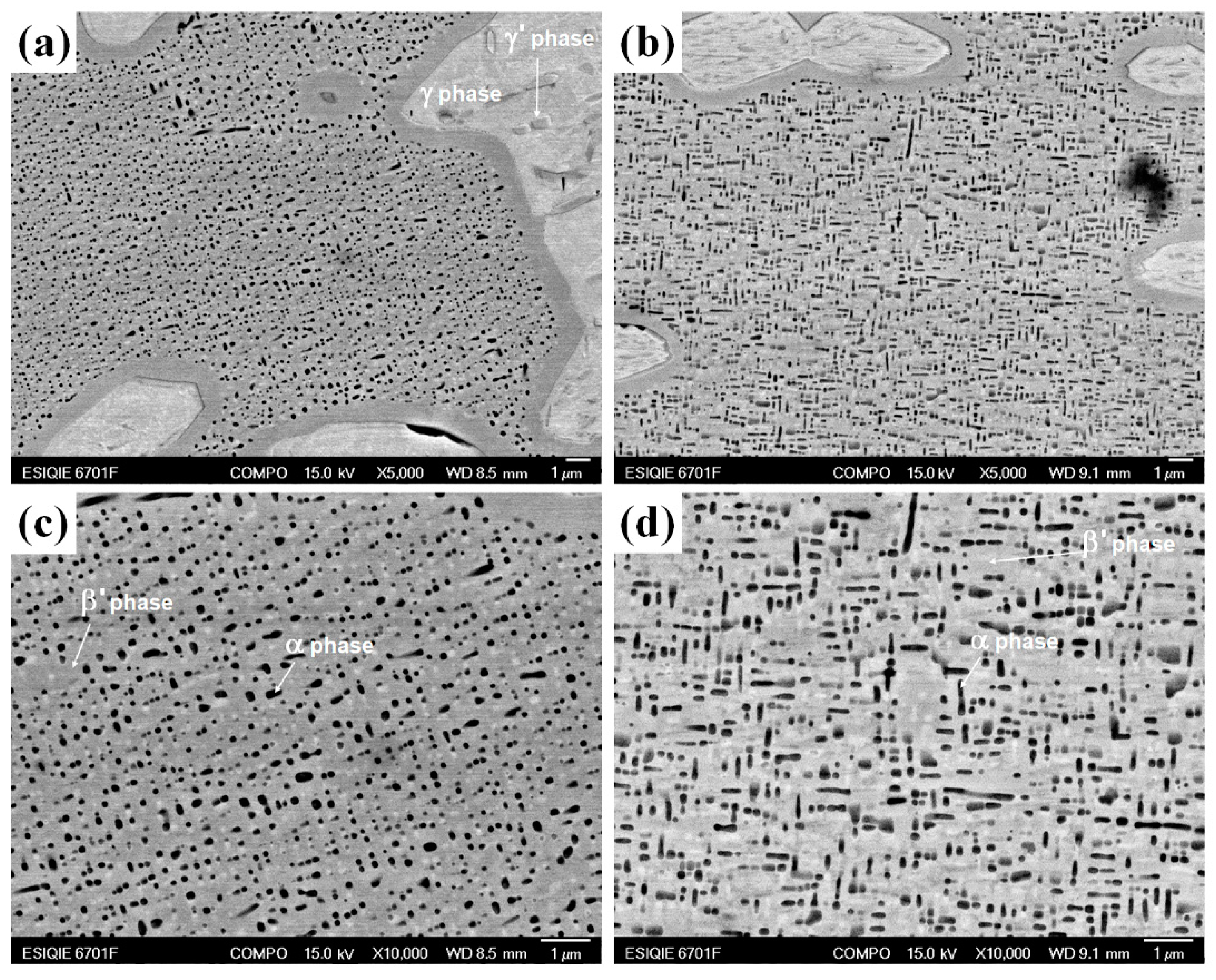 Metals 13 01221 g005