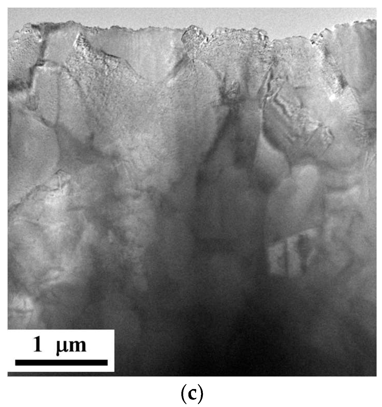 Metals 13 01223 g002b