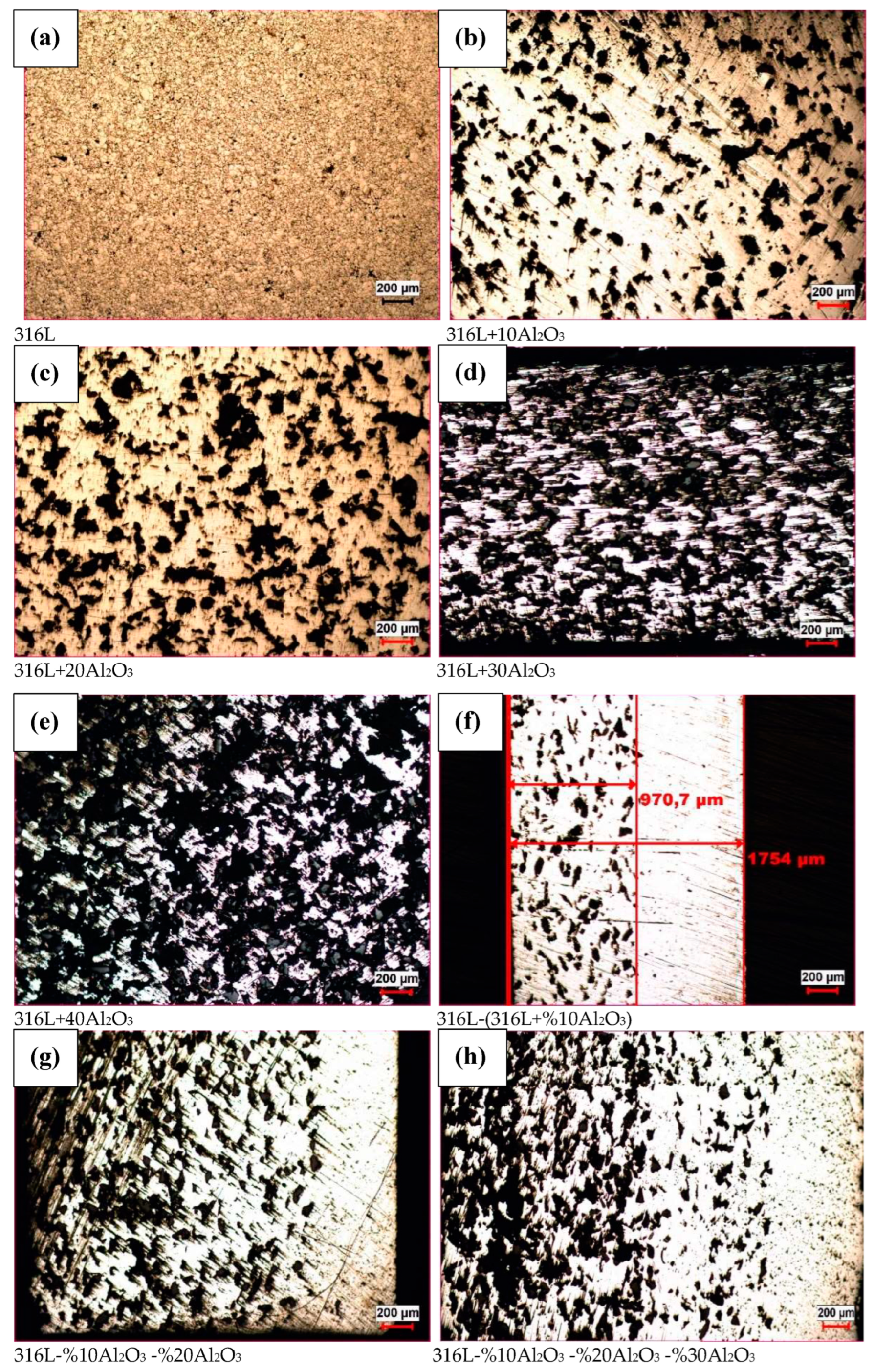 Metals 13 01226 g007a