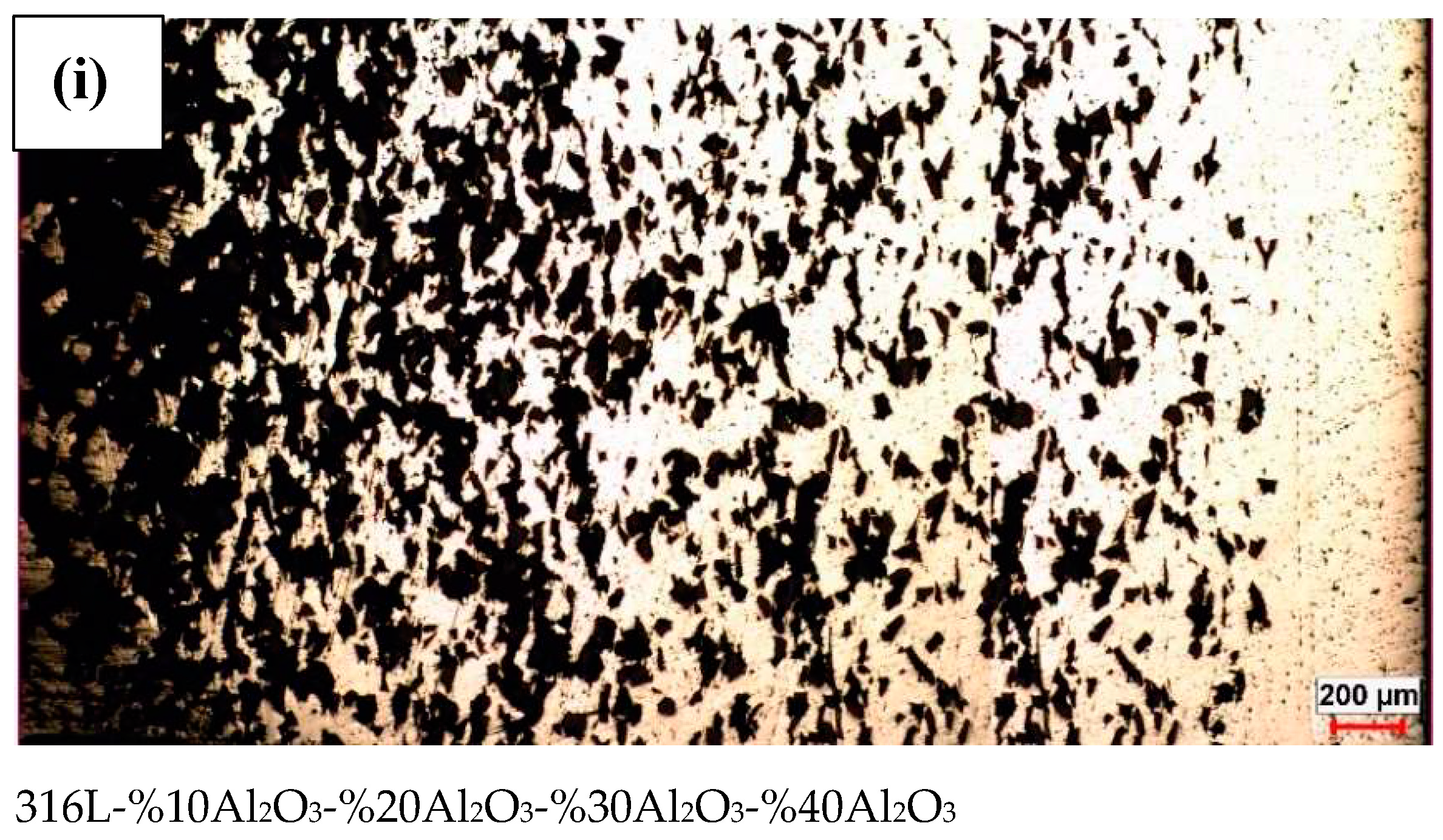 Metals 13 01226 g007b