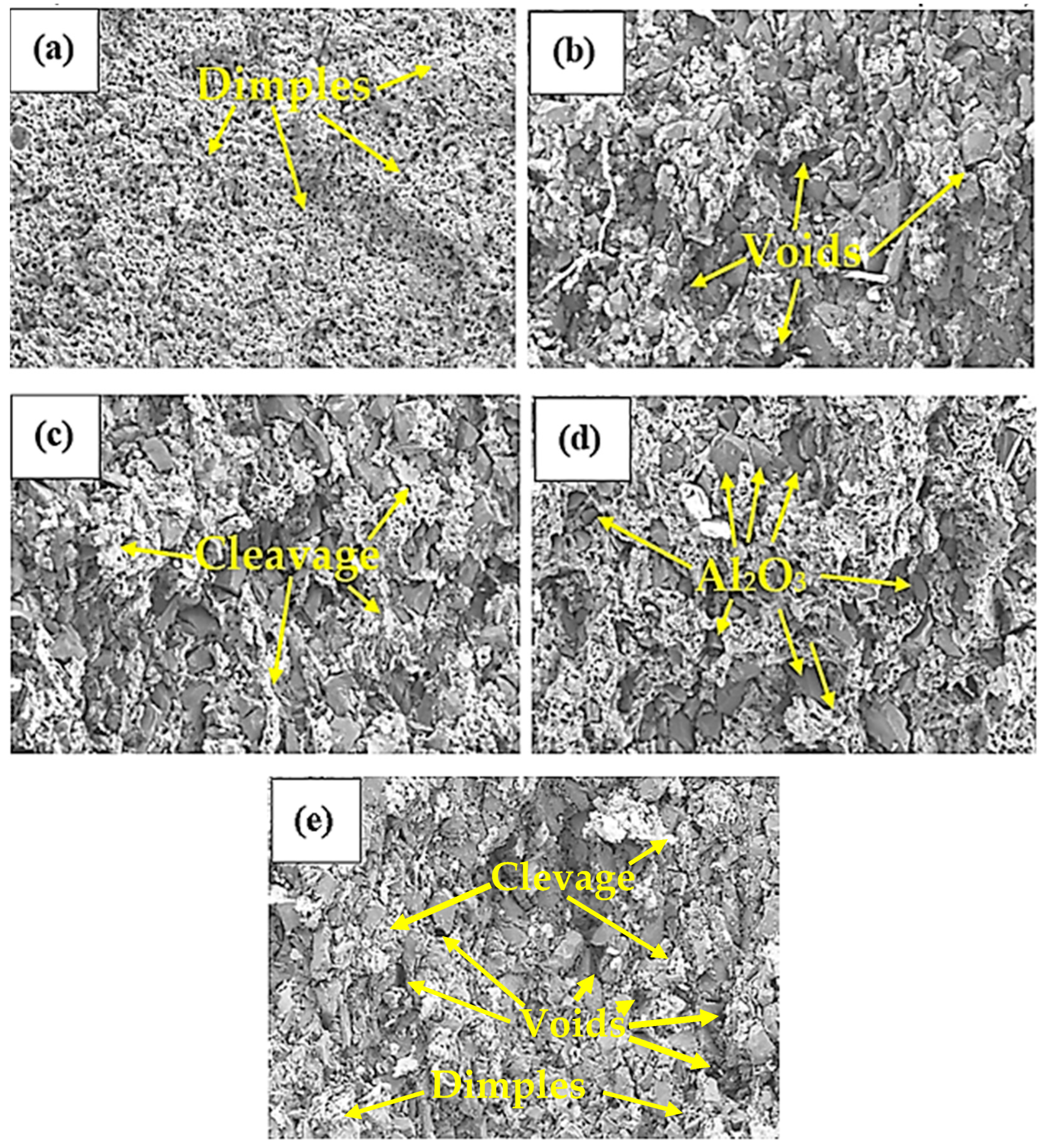 Metals 13 01226 g011