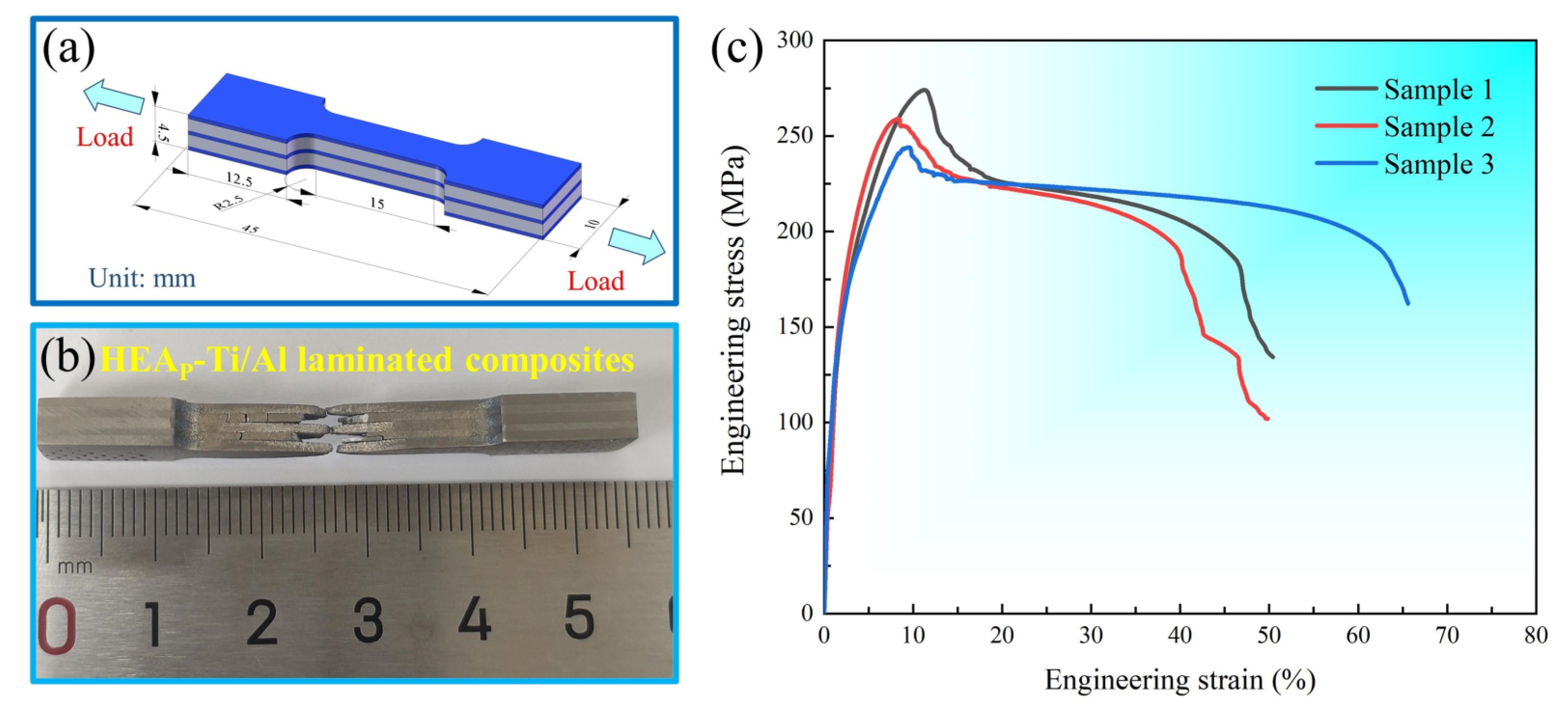 Metals 13 01227 g006