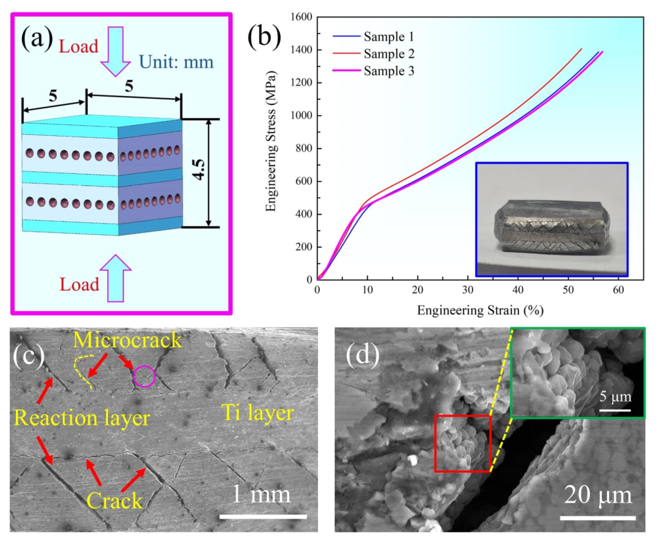 Metals 13 01227 g009