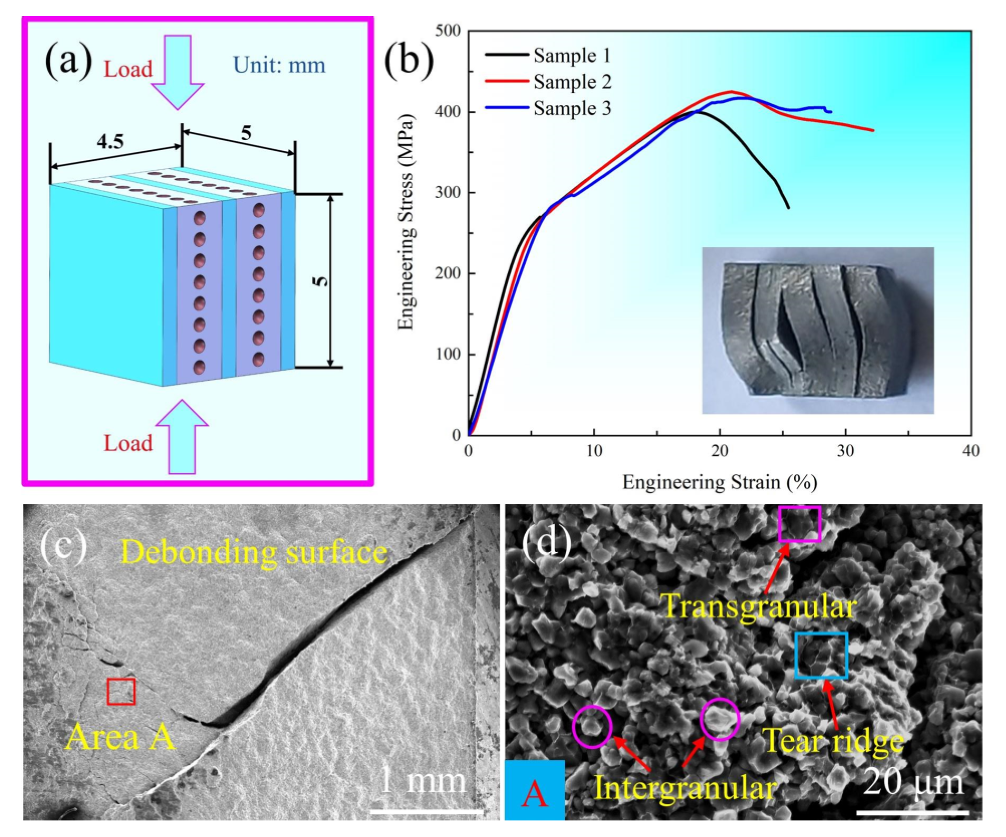 Metals 13 01227 g010