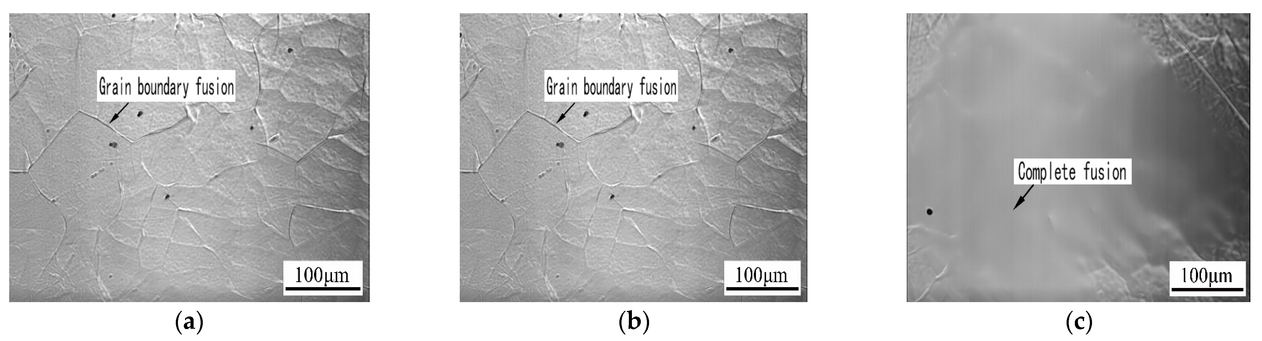 Metals 13 01228 g008