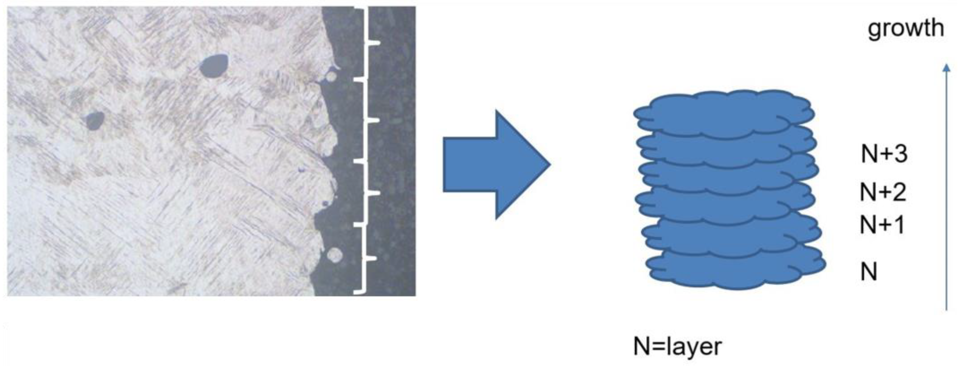 Metals 13 01247 g008