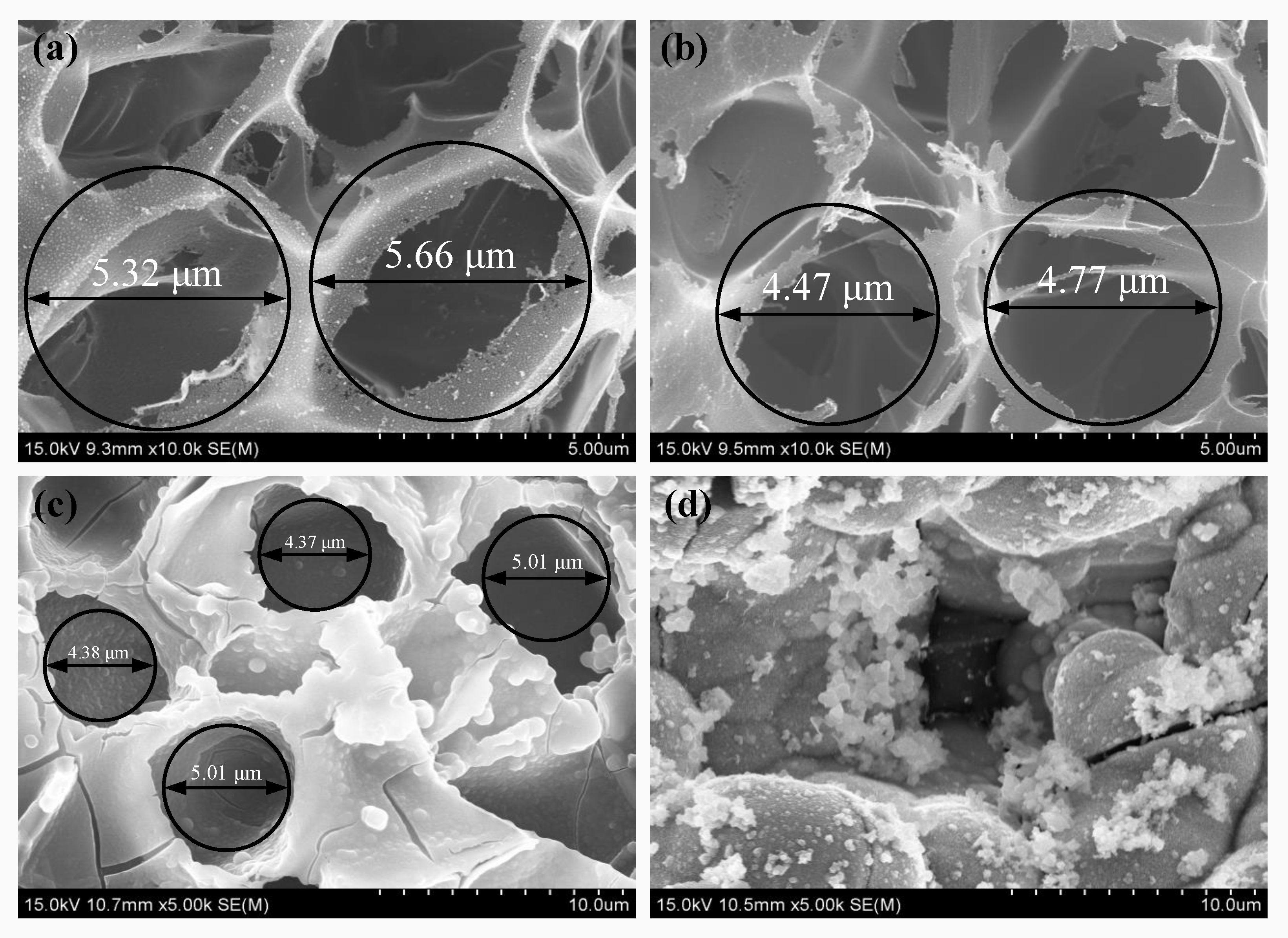 Metals 13 01253 g005