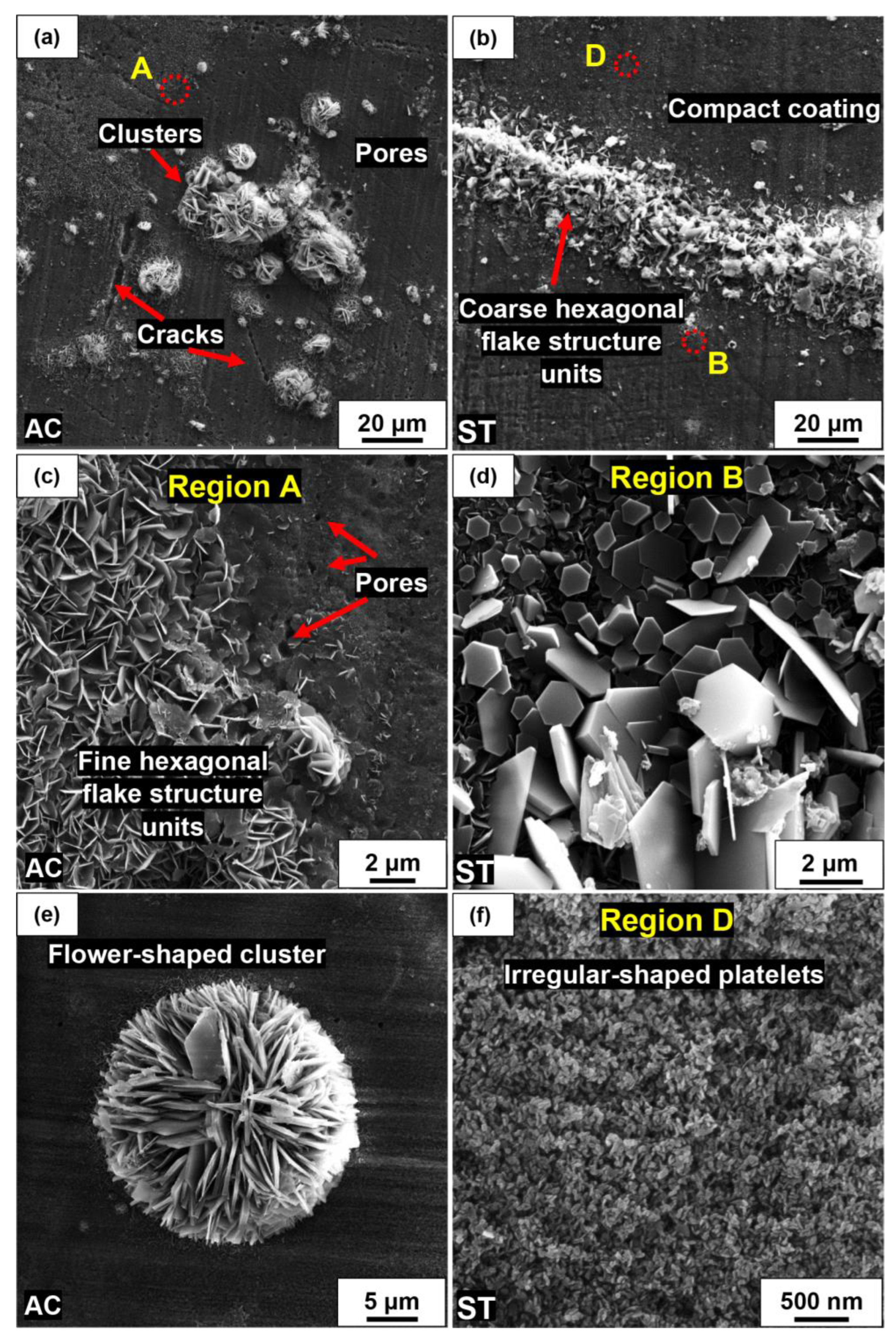 Metals 13 01260 g003