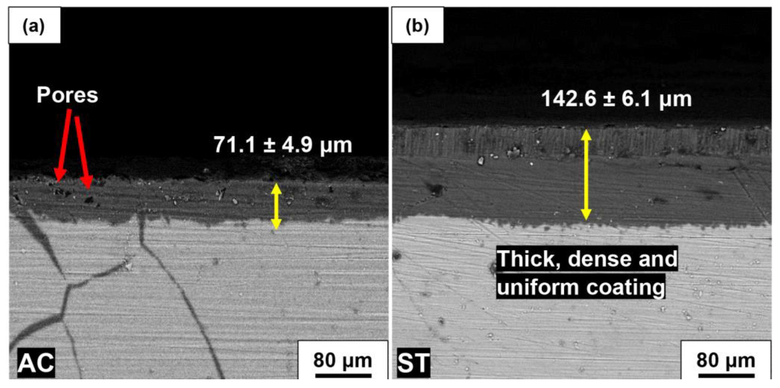 Metals 13 01260 g004