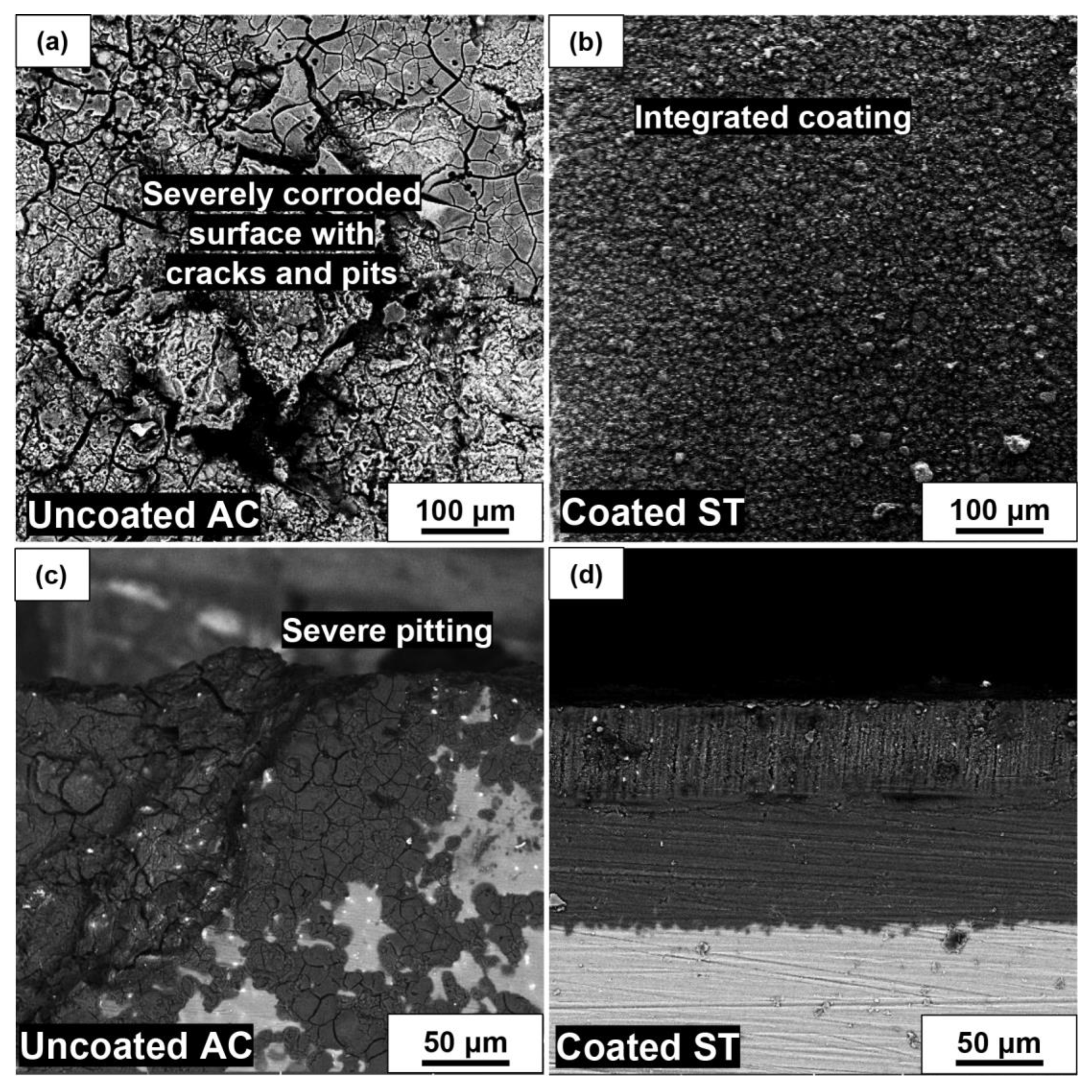 Metals 13 01260 g006