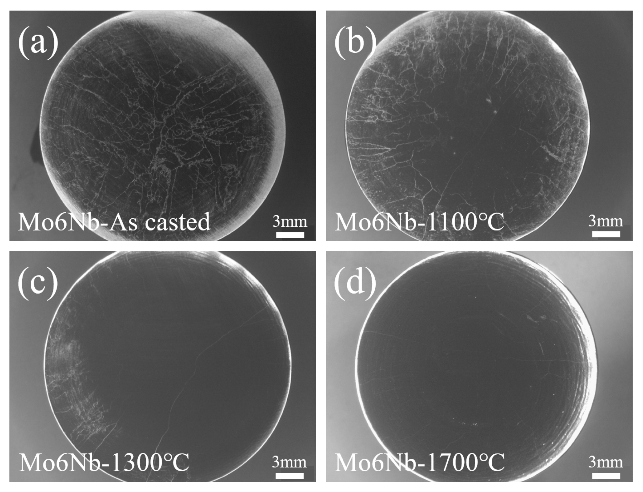 Metals 13 01261 g003