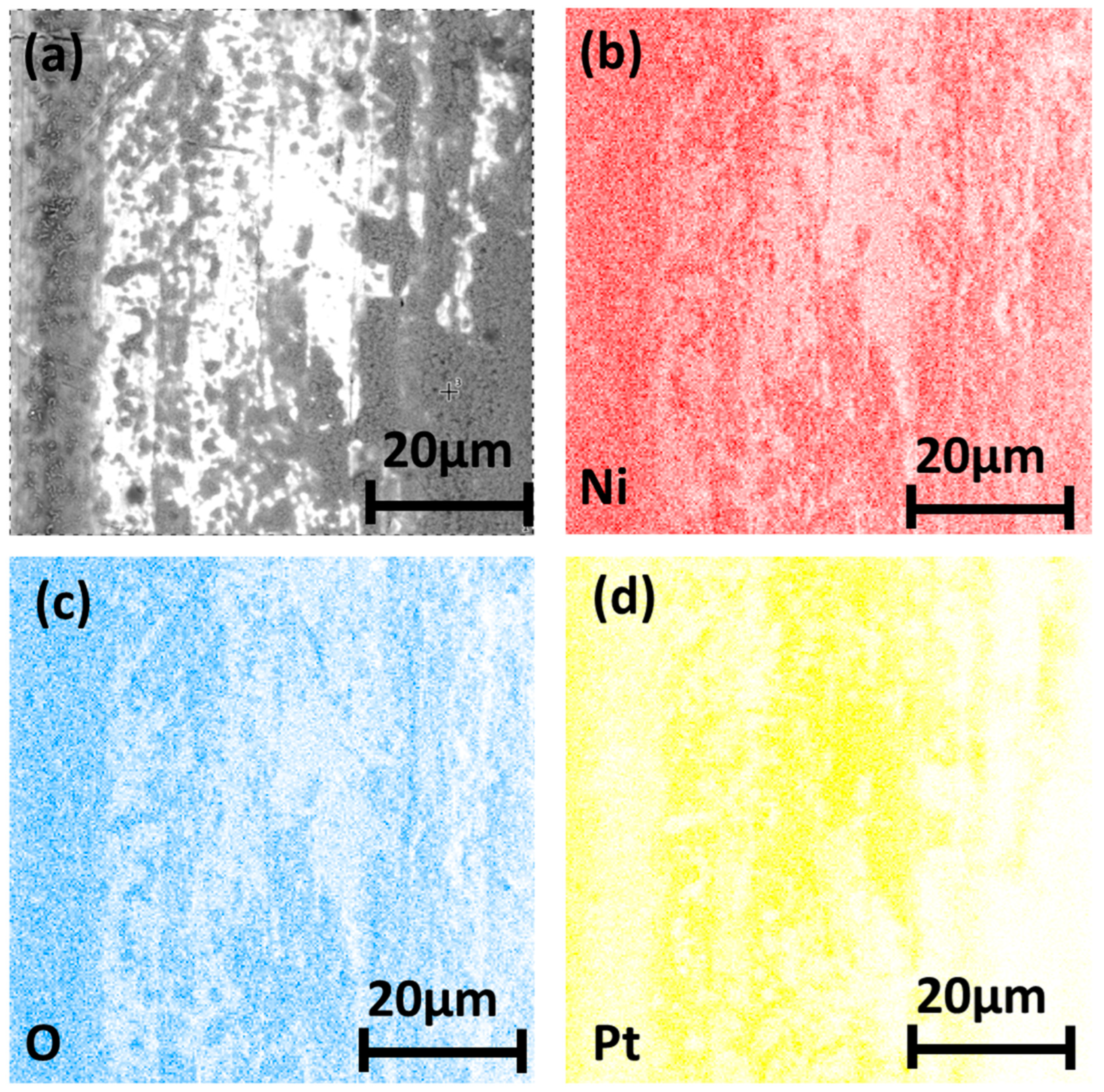 Metals 13 01264 g007