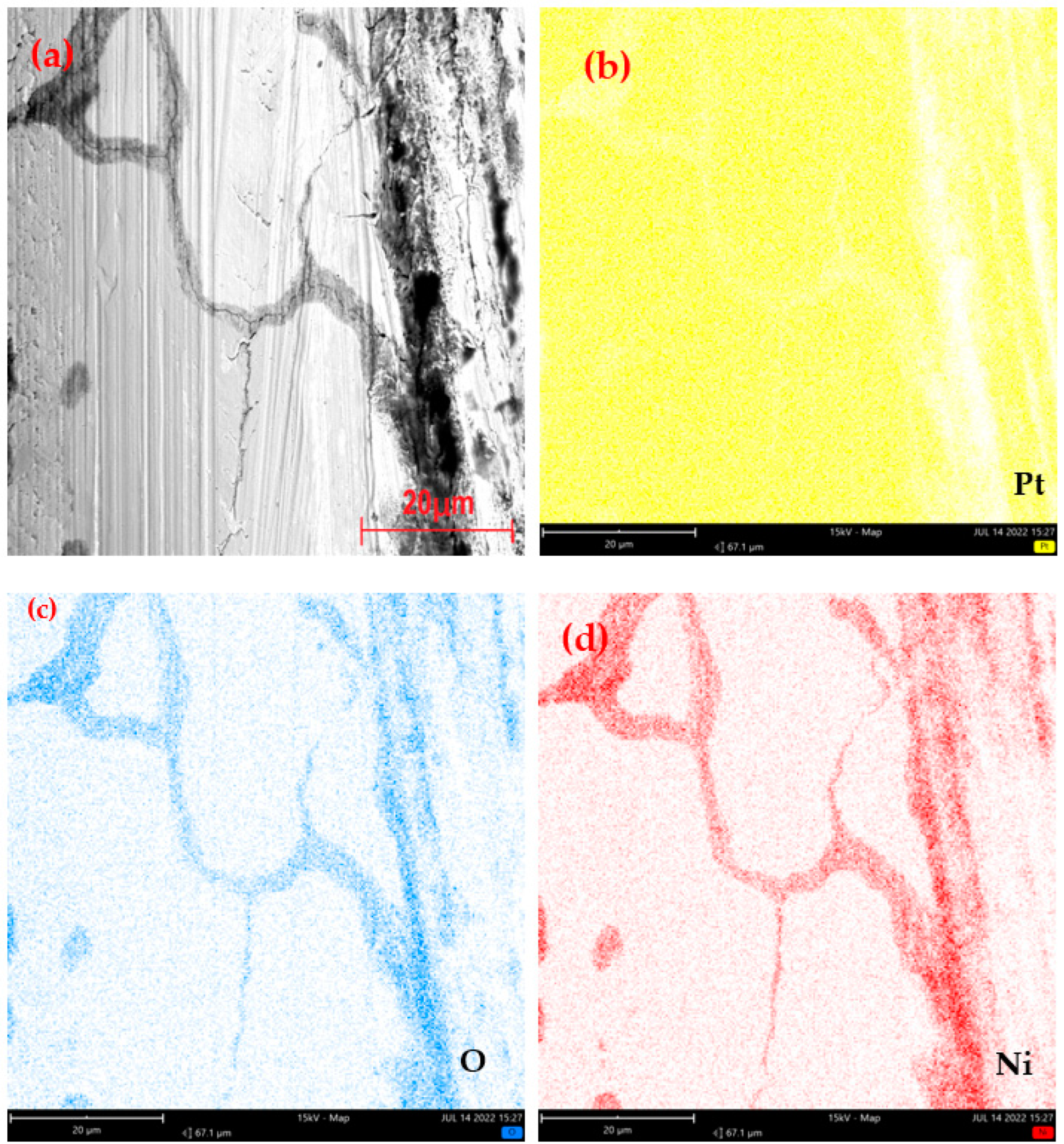 Metals 13 01264 g008