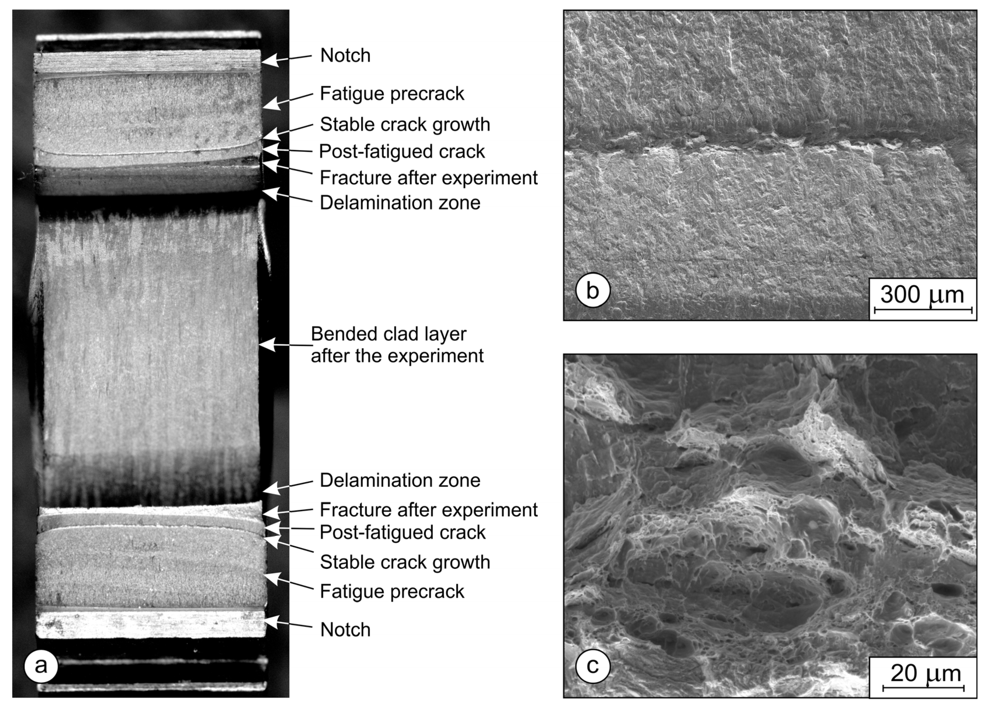Metals 13 01273 g015