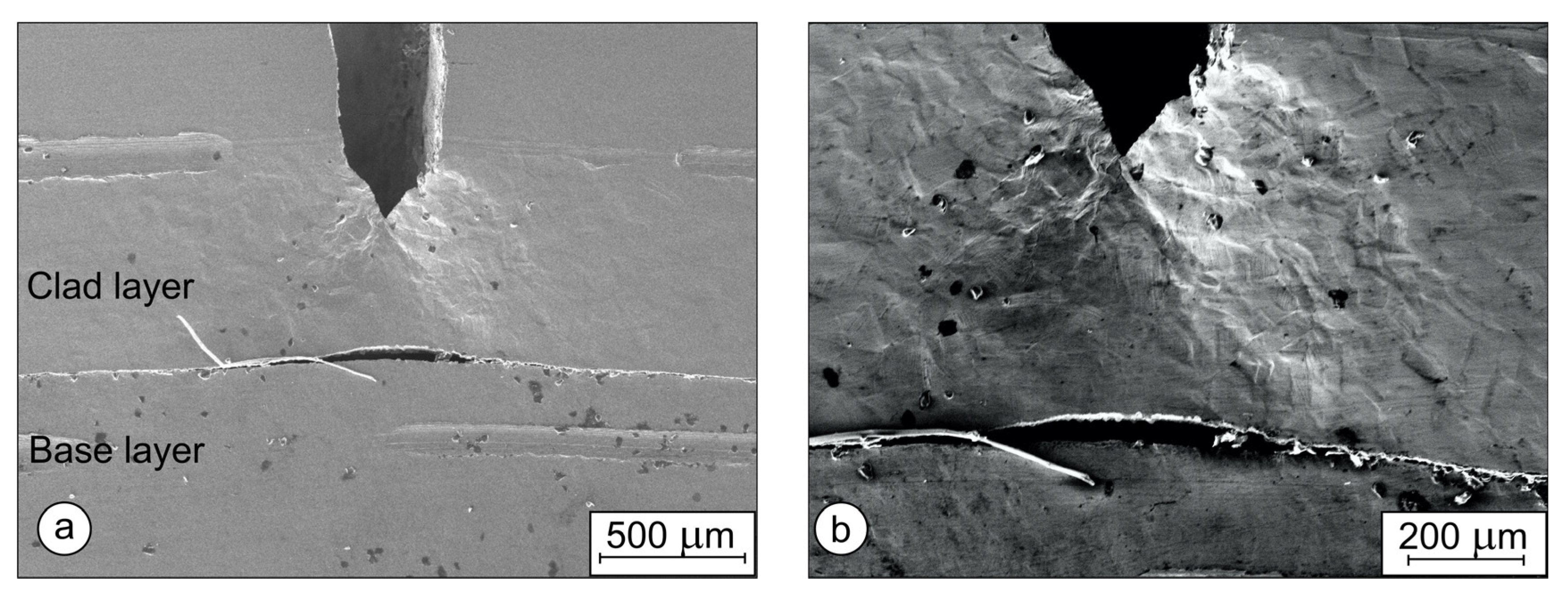 Metals 13 01273 g016