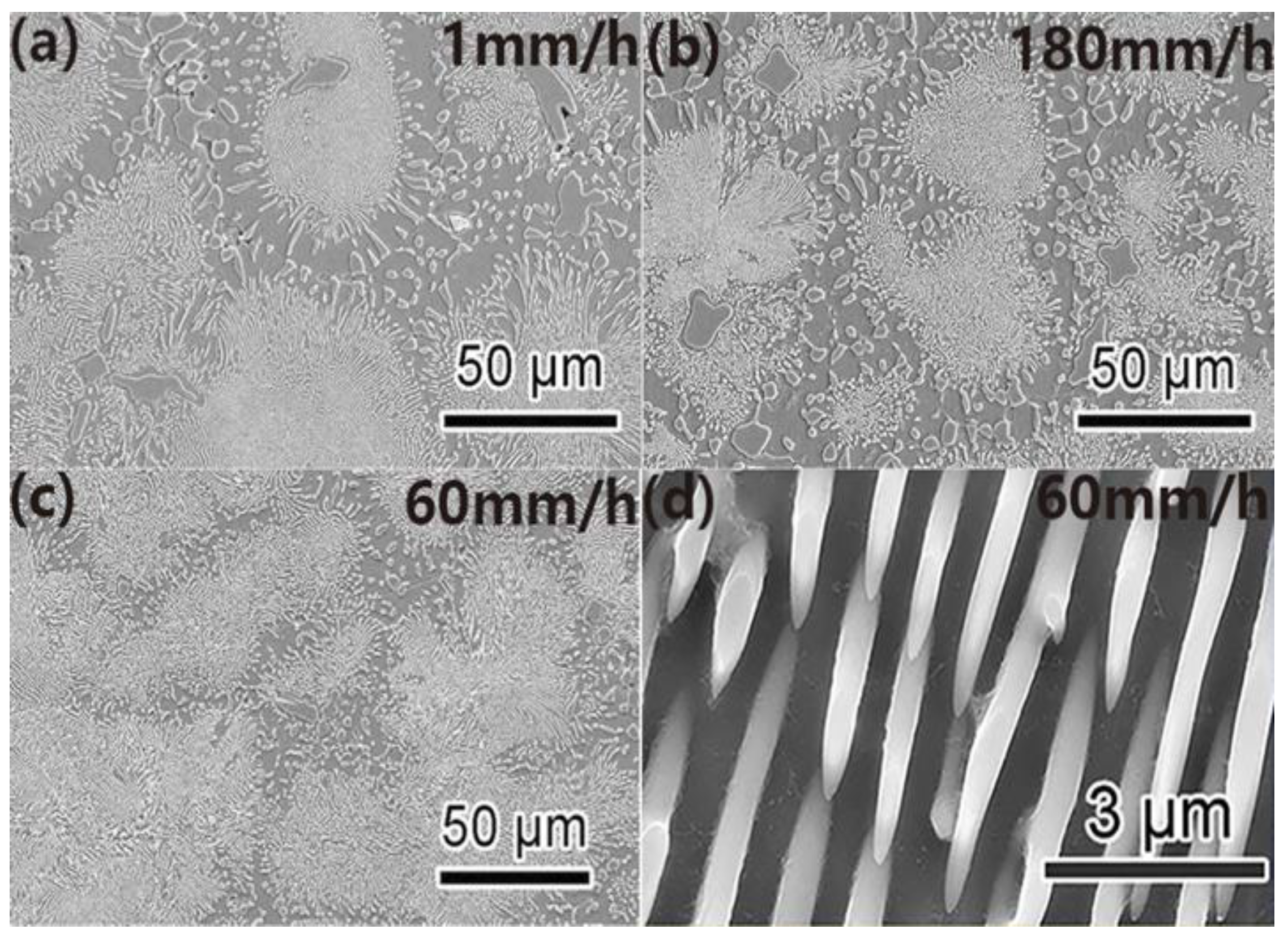 Metals 13 01279 g008