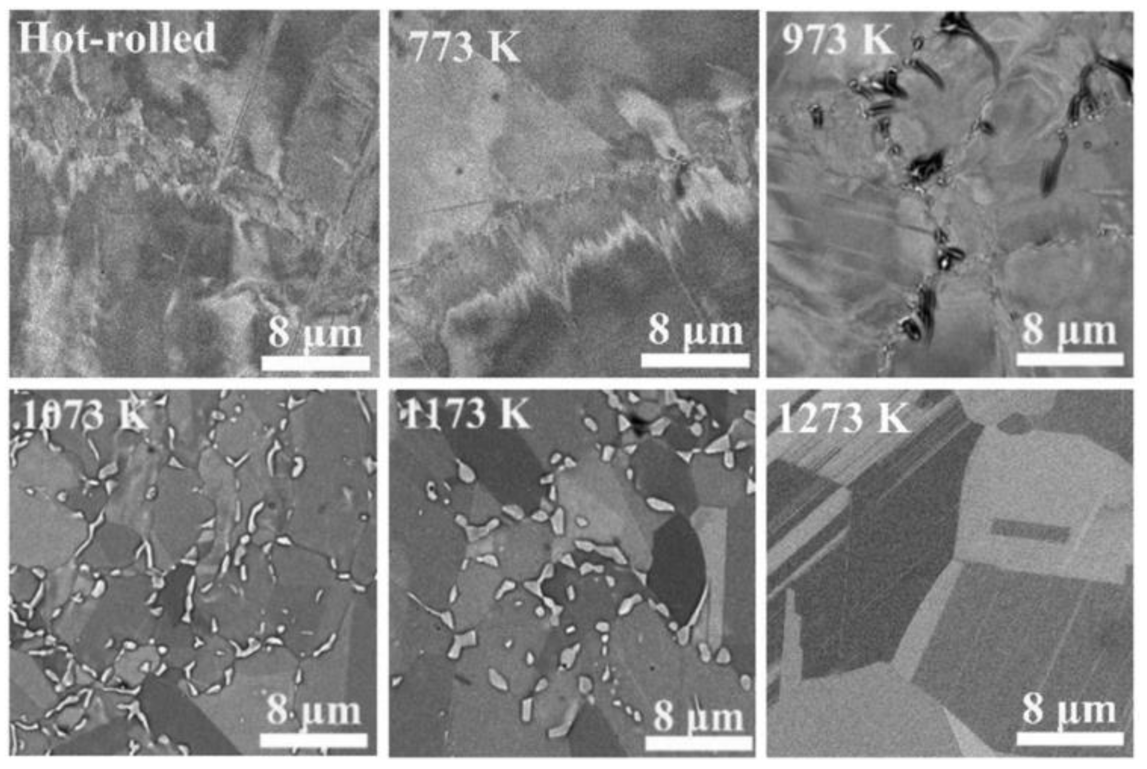 Metals 13 01279 g009