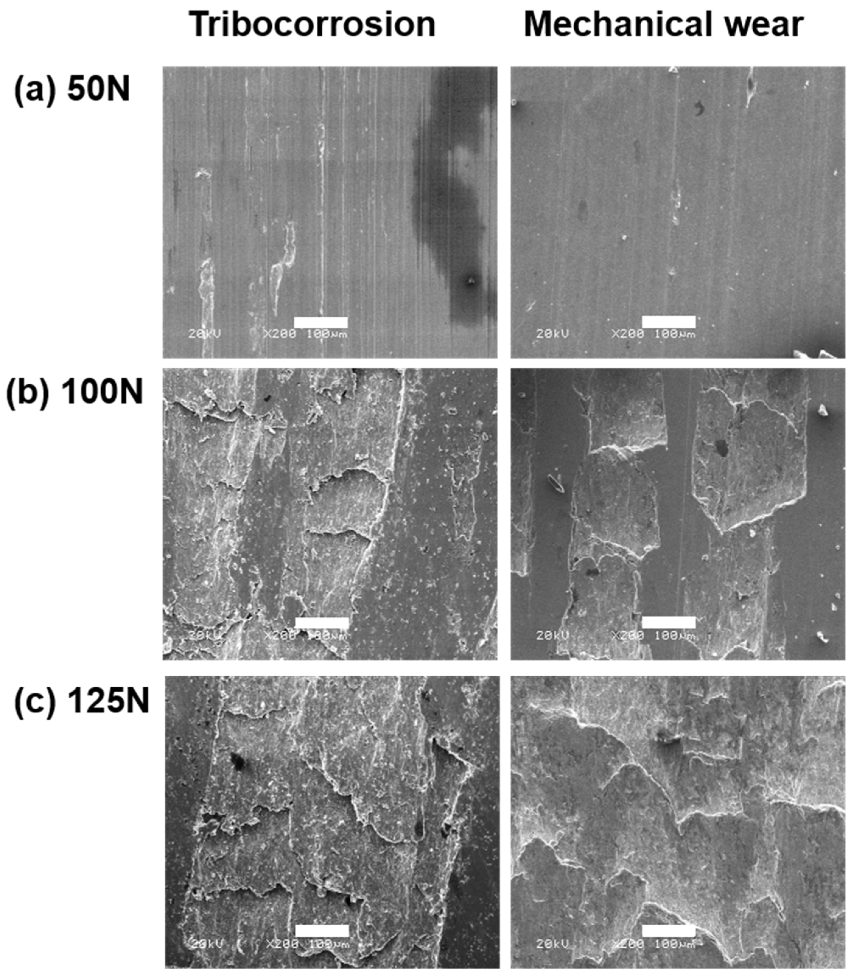 Metals 13 01287 g006 Metals 13 01287 g006